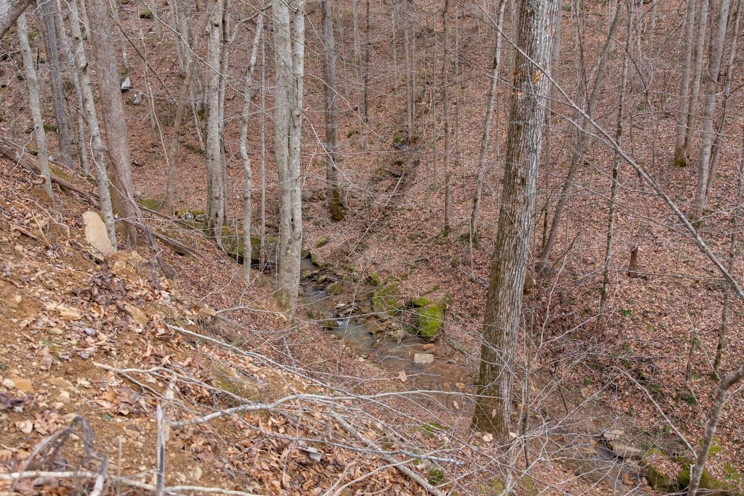 Blackstone Mountain Phase I Tract 38 photo 16