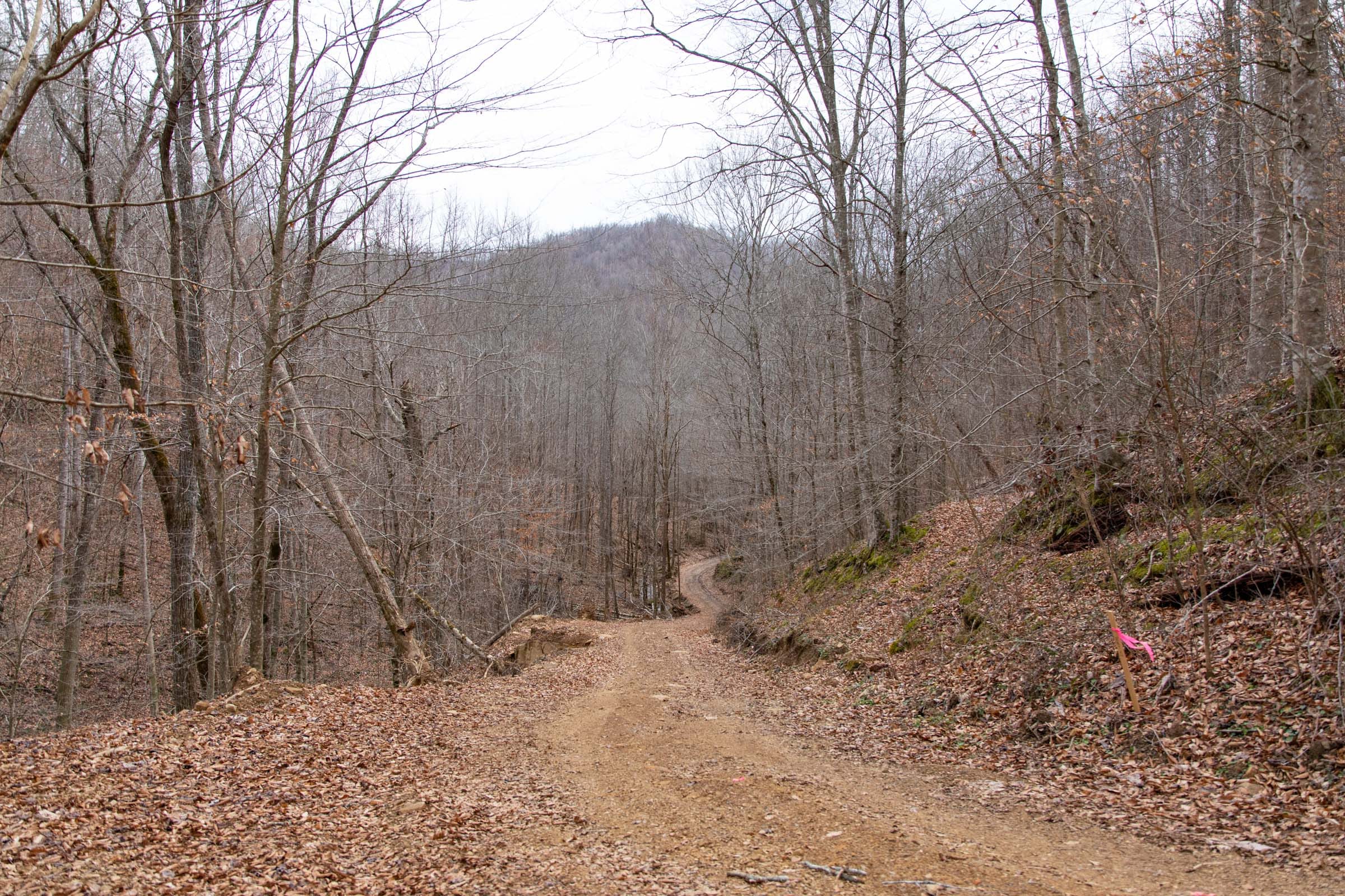 Blackstone Mountain Phase I Tract 38 photo 18