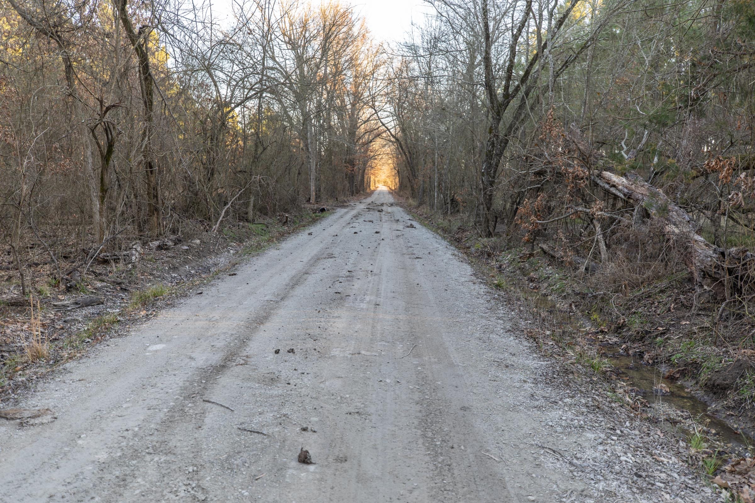 Wishing Star Ranch Tract 54 photo 4