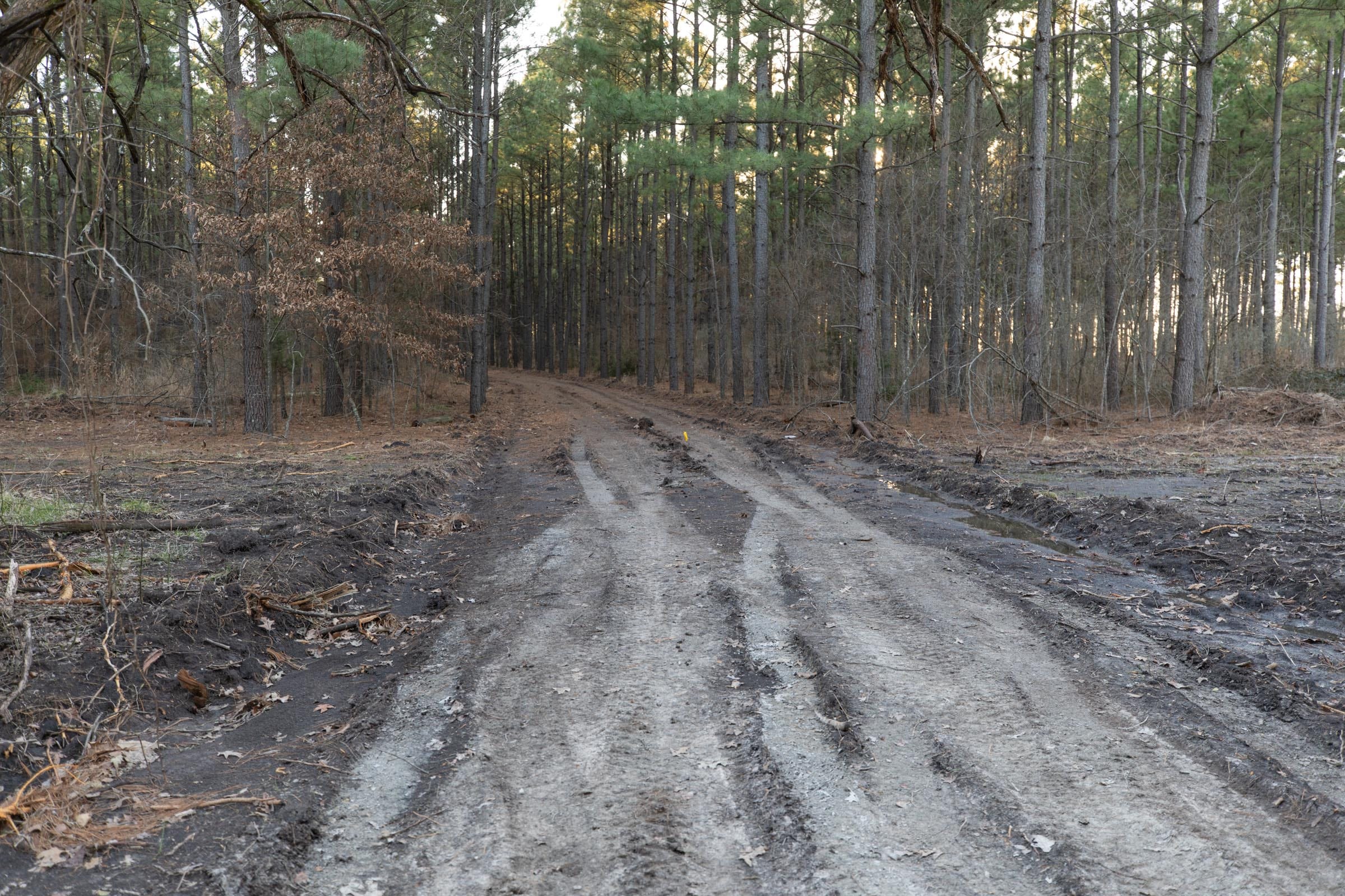 Wishing Star Ranch Tract 54 photo 7