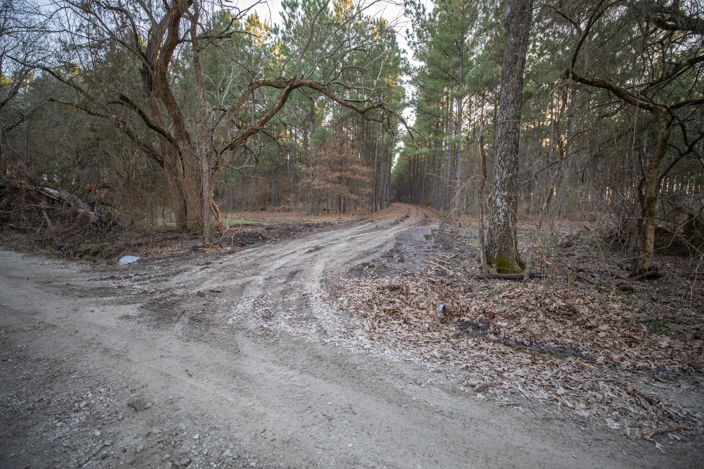 Wishing Star Ranch Tract 54 photo 9