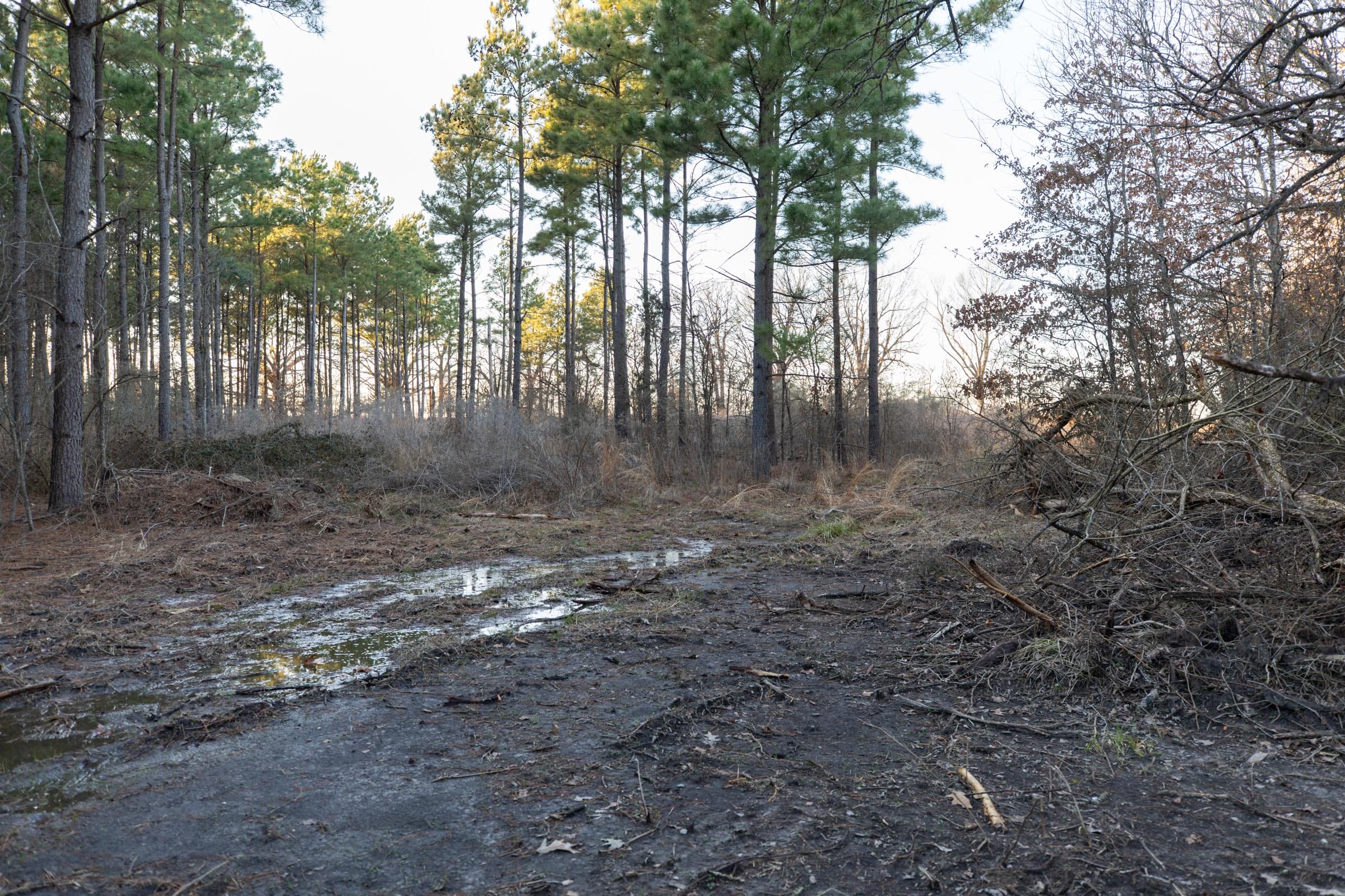 Wishing Star Ranch Tract 54 photo 2
