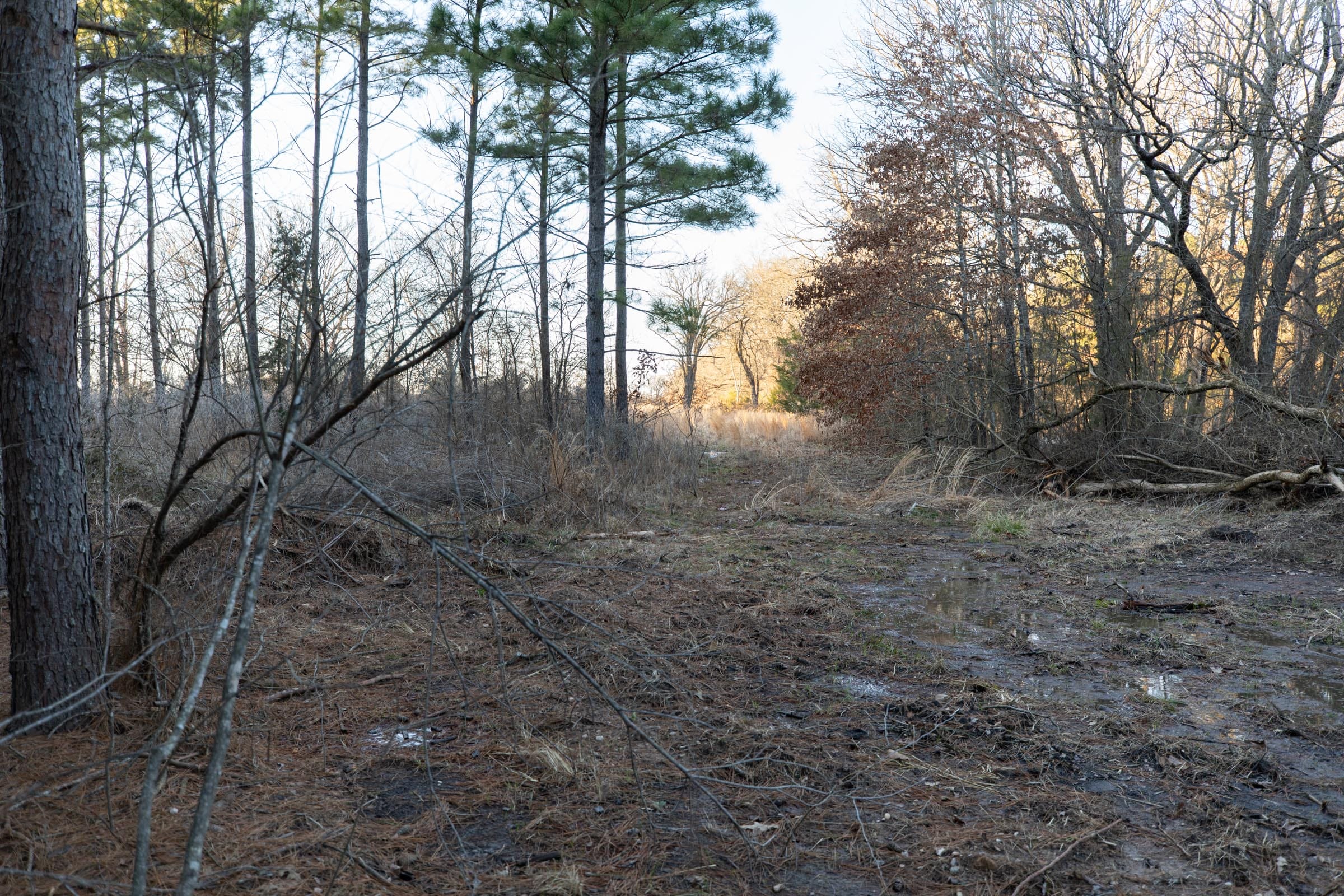 Wishing Star Ranch Tract 54 photo 3