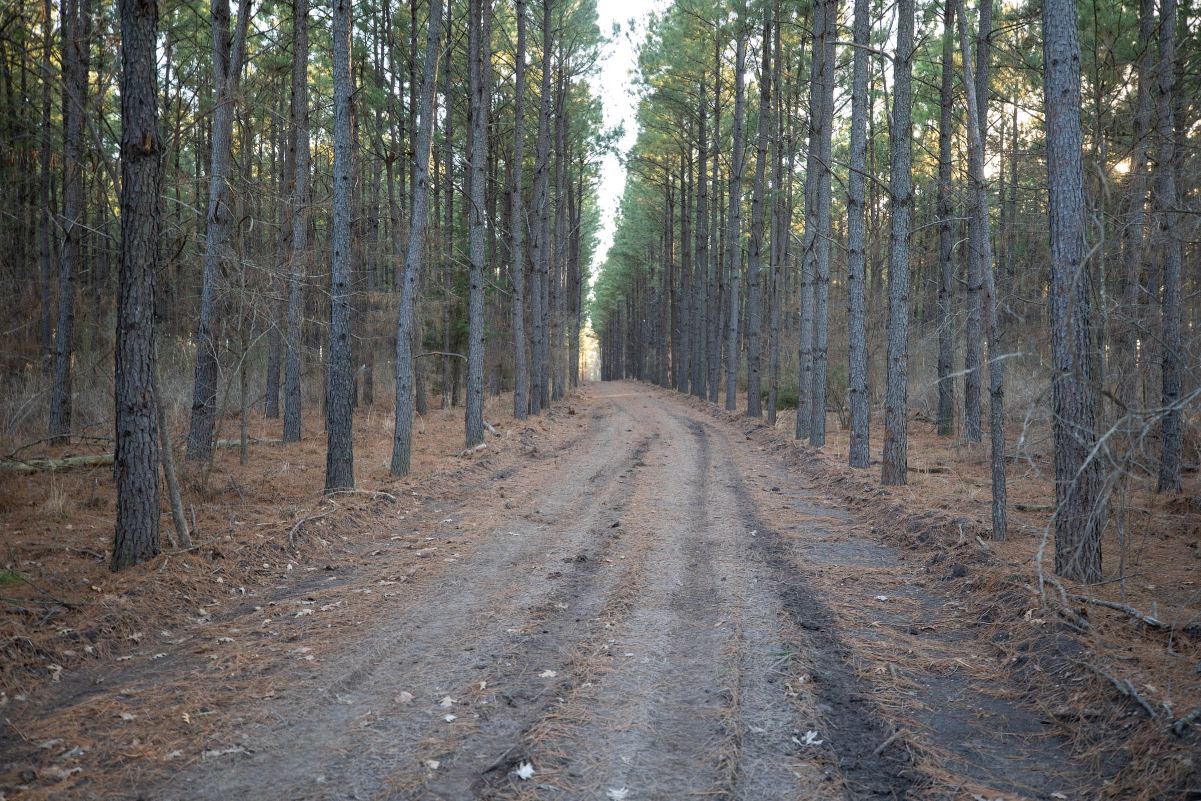 Wishing Star Ranch Tract 54 photo 11