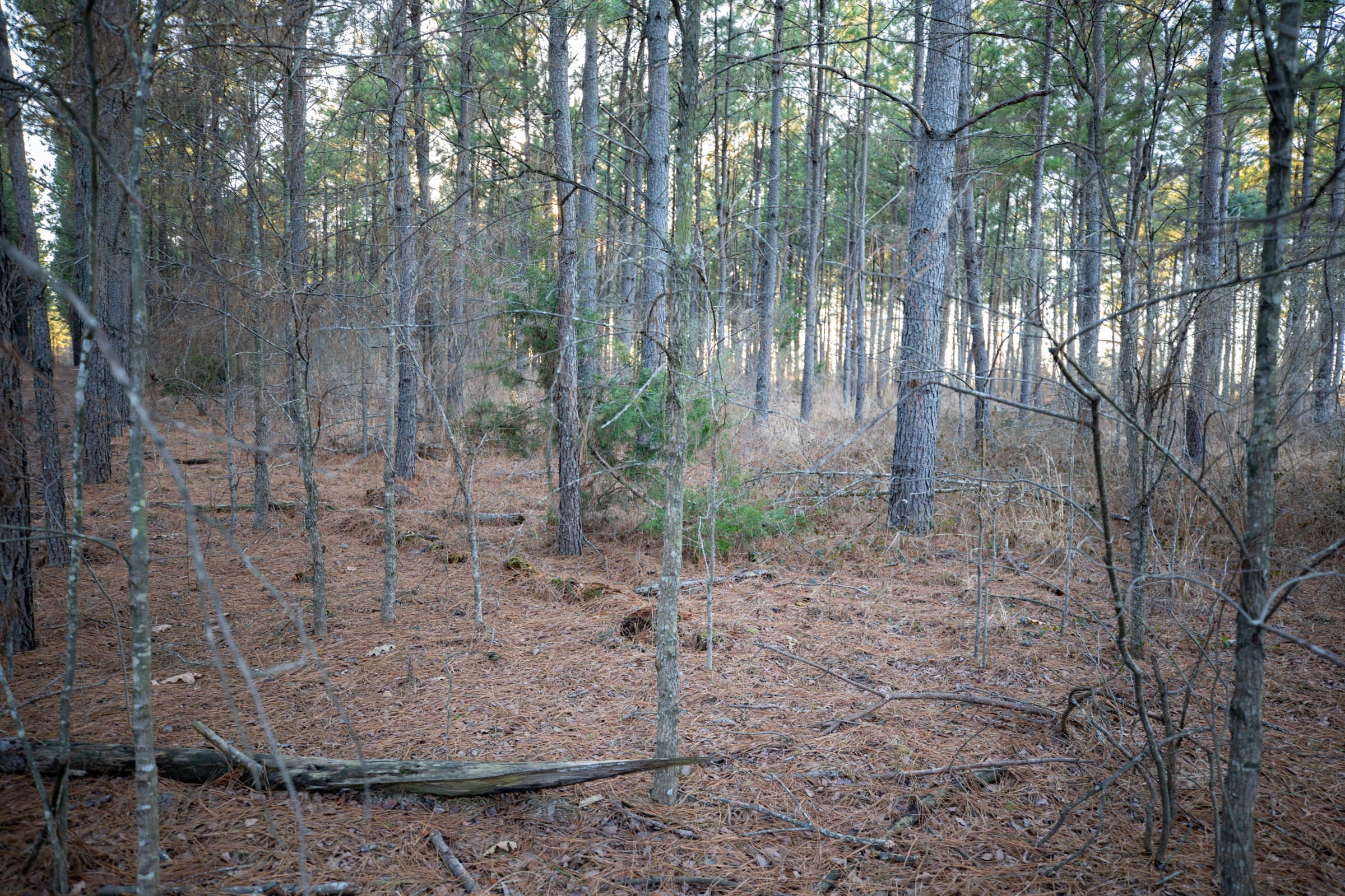 Wishing Star Ranch Tract 54 photo 5