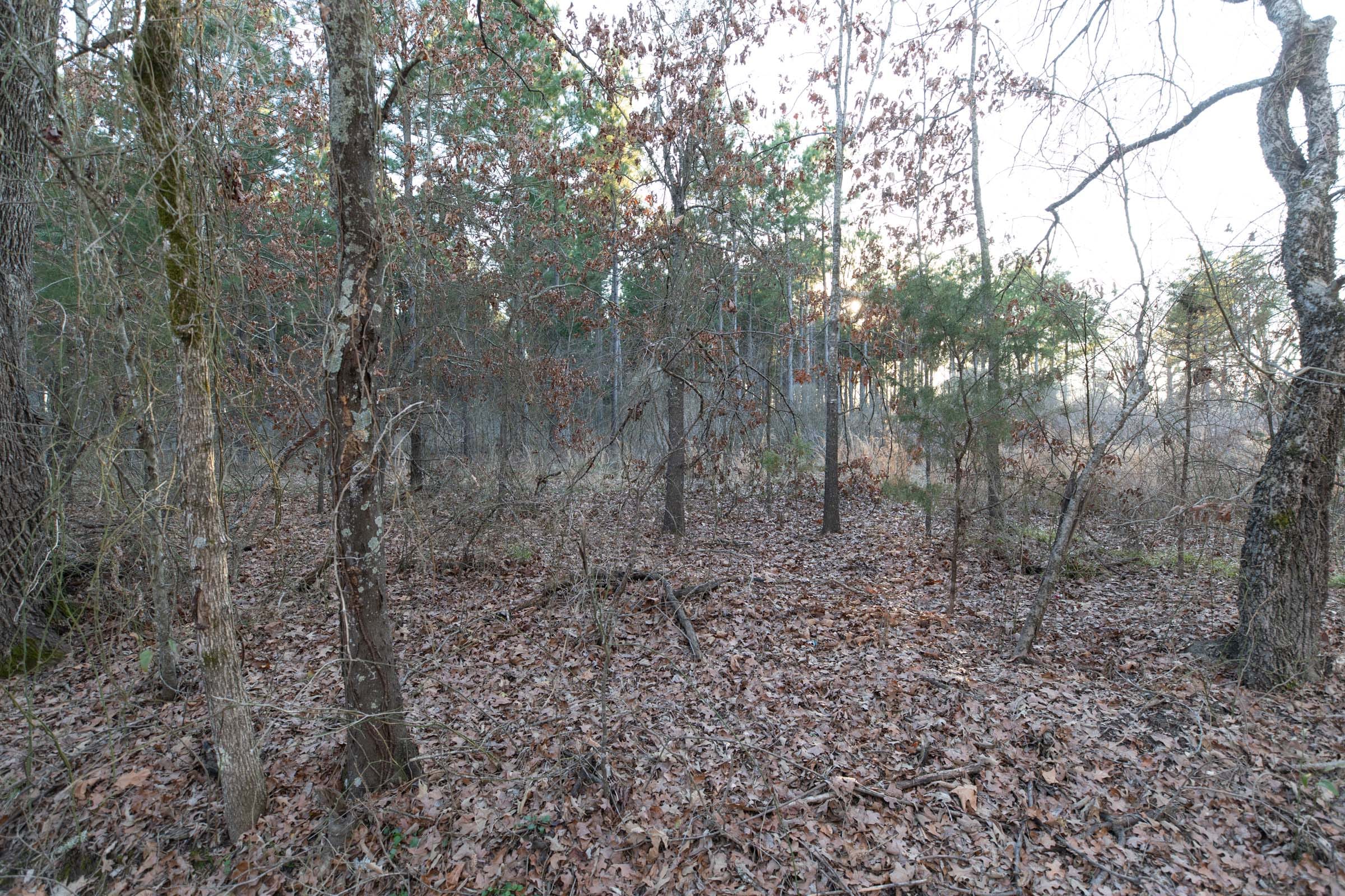 Wishing Star Ranch Tract 54 photo 8