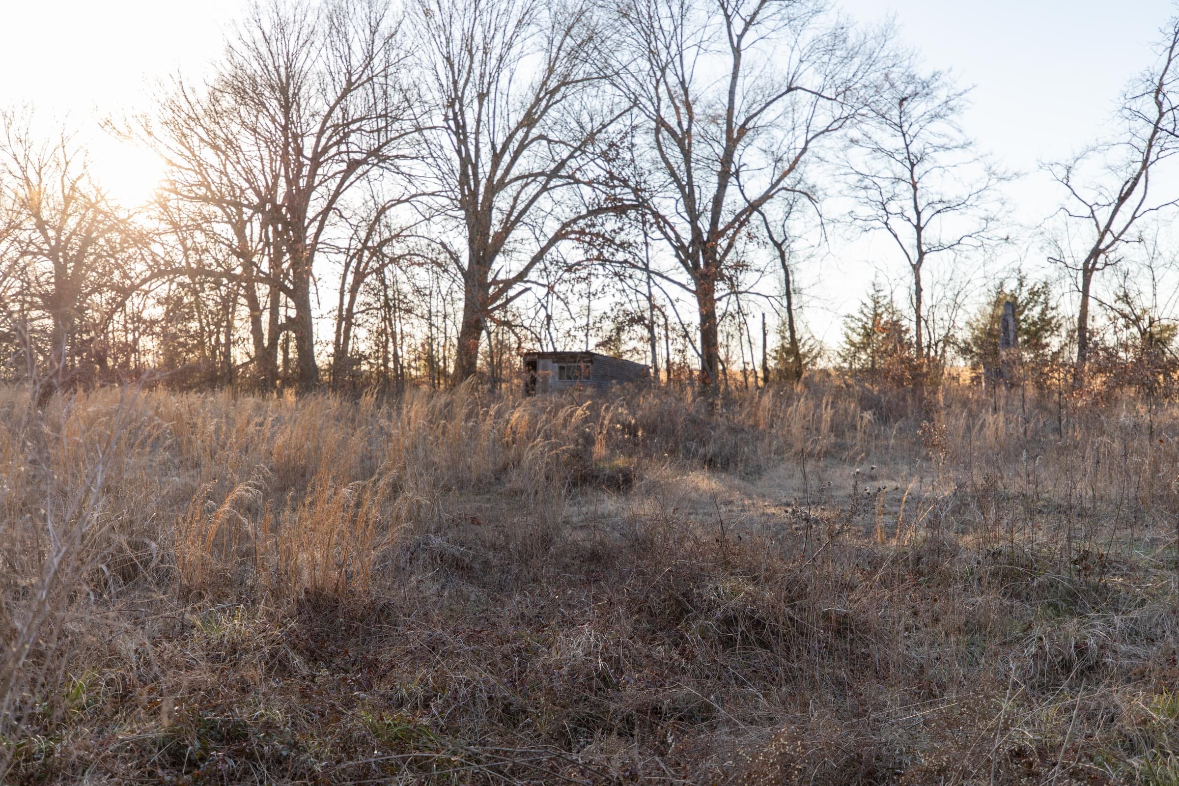 Wishing Star Ranch Tract 54 photo 10