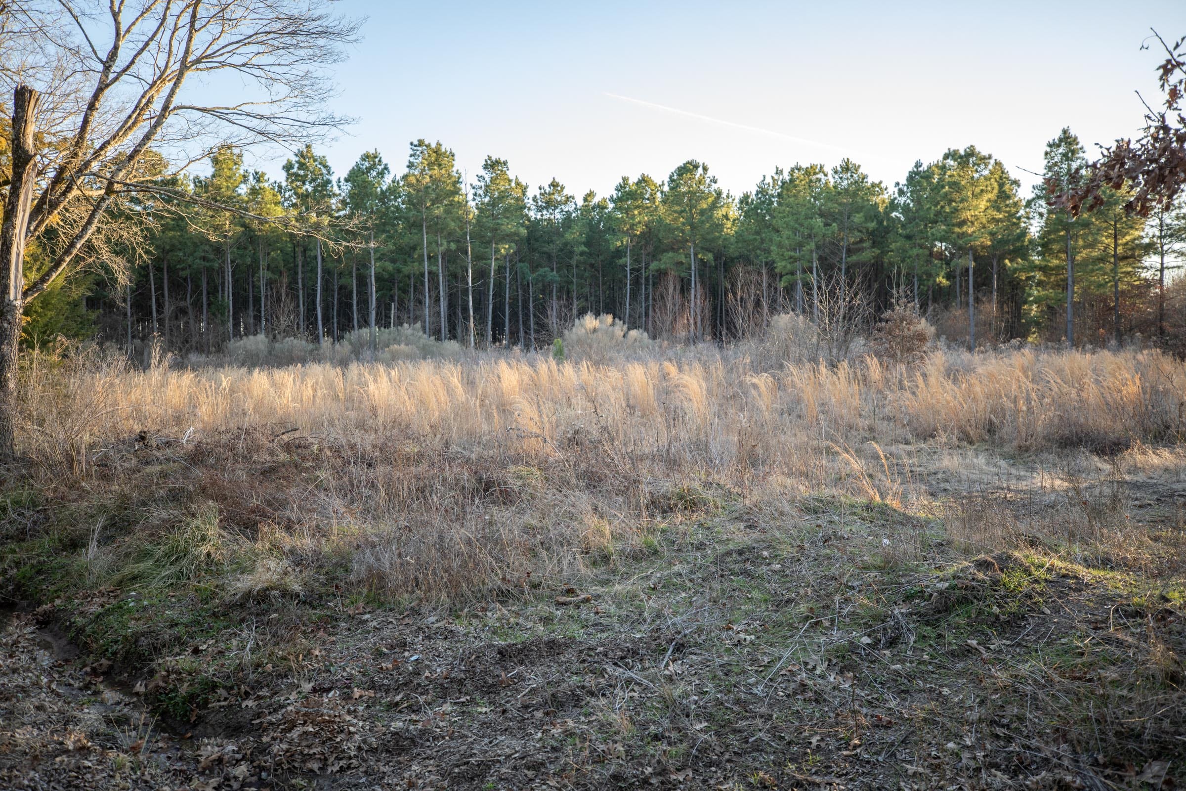Wishing Star Ranch Tract 54 photo 12