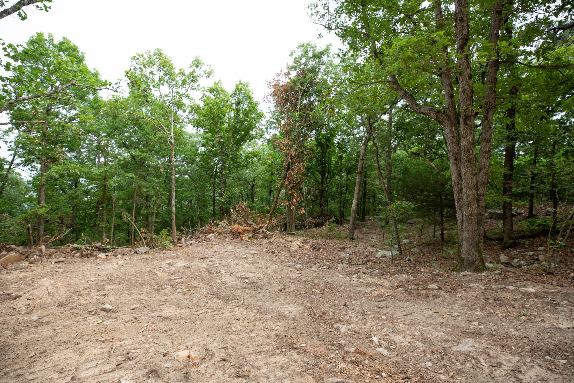 Eagle’s Nest Tract 86 photo 3