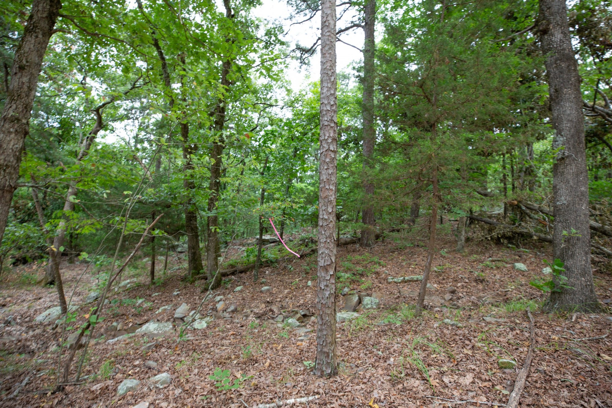 Eagle’s Nest Tract 86 photo 4