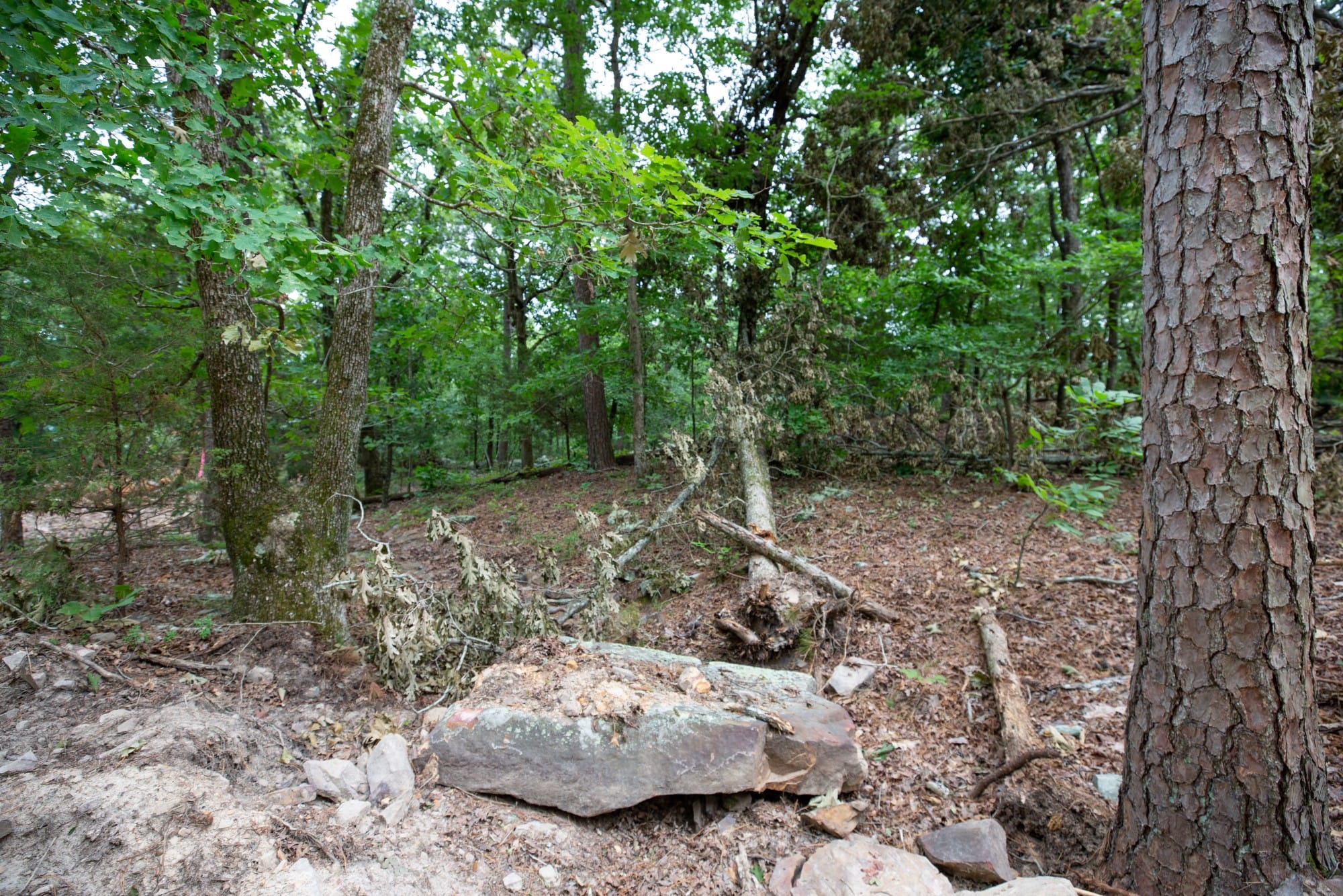 Eagle’s Nest Tract 86 photo 5