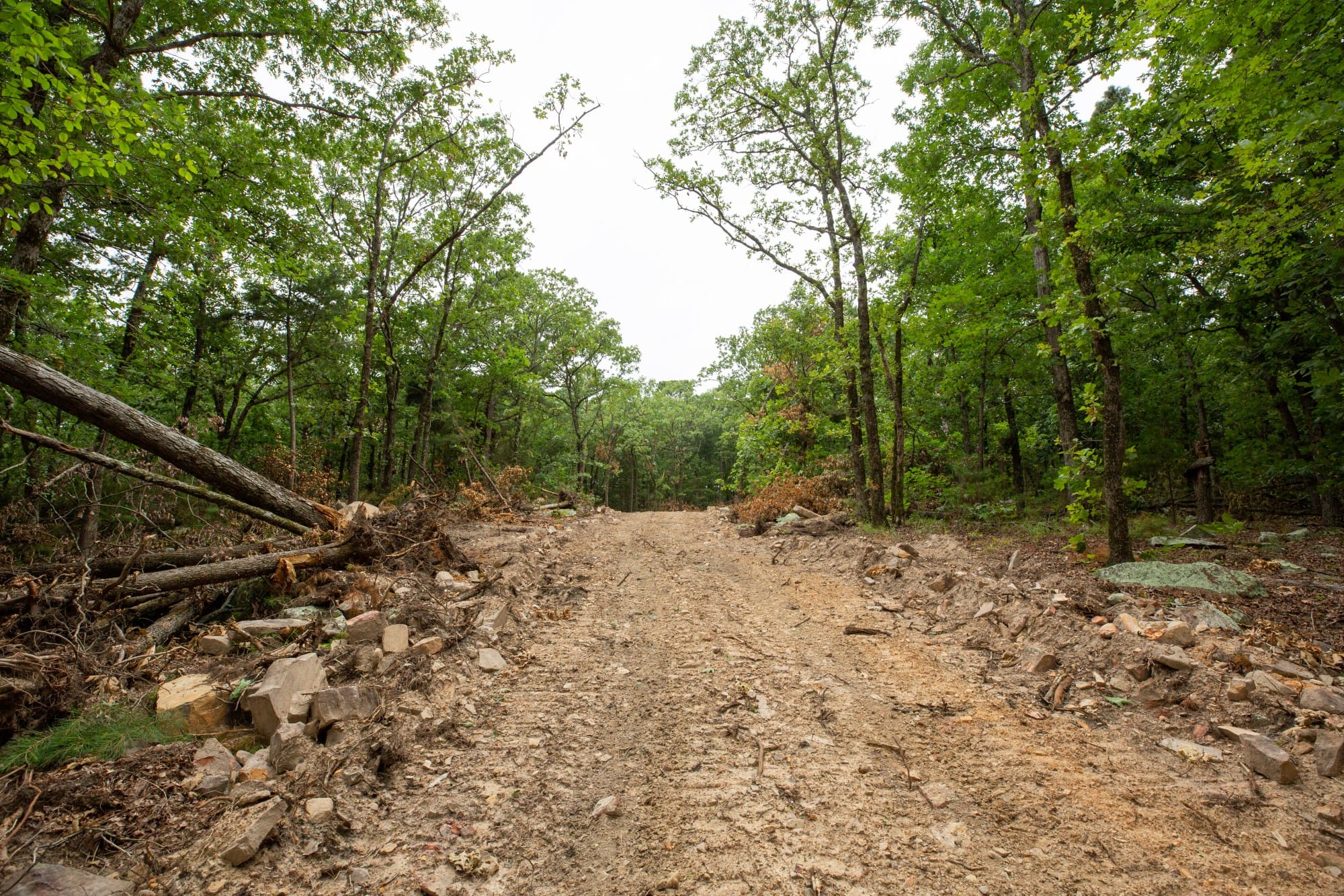 Eagle’s Nest Tract 86 photo 2