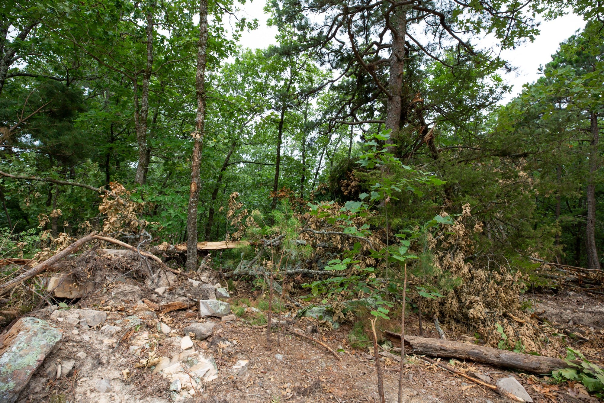 Eagle’s Nest Tract 86 photo 6