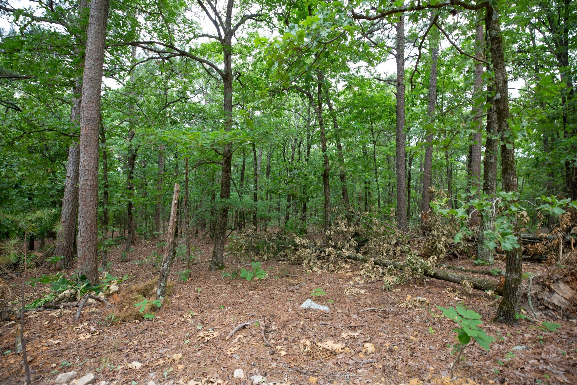 Eagle’s Nest Tract 86 photo 9