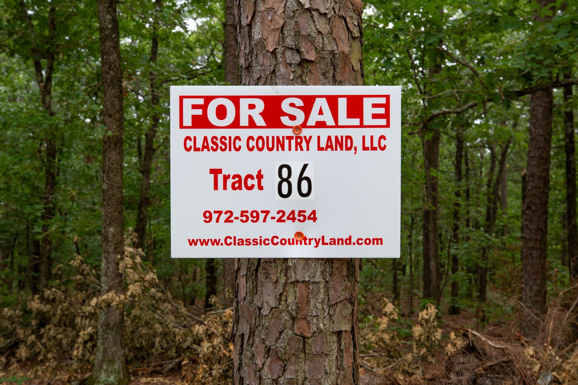 Eagle’s Nest Tract 86 photo 1