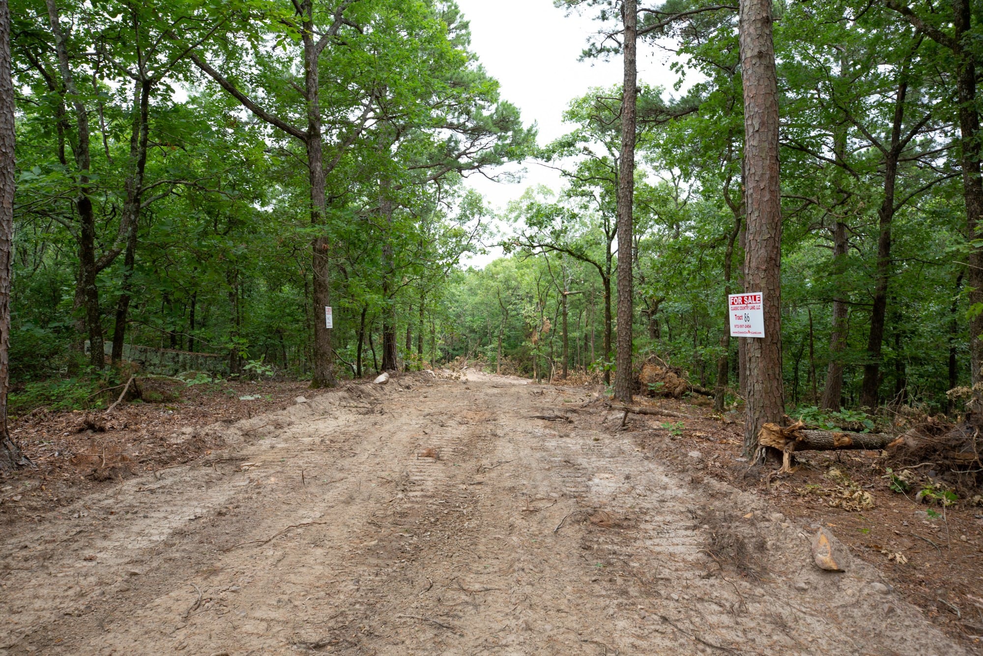 Eagle’s Nest Tract 86 photo 7
