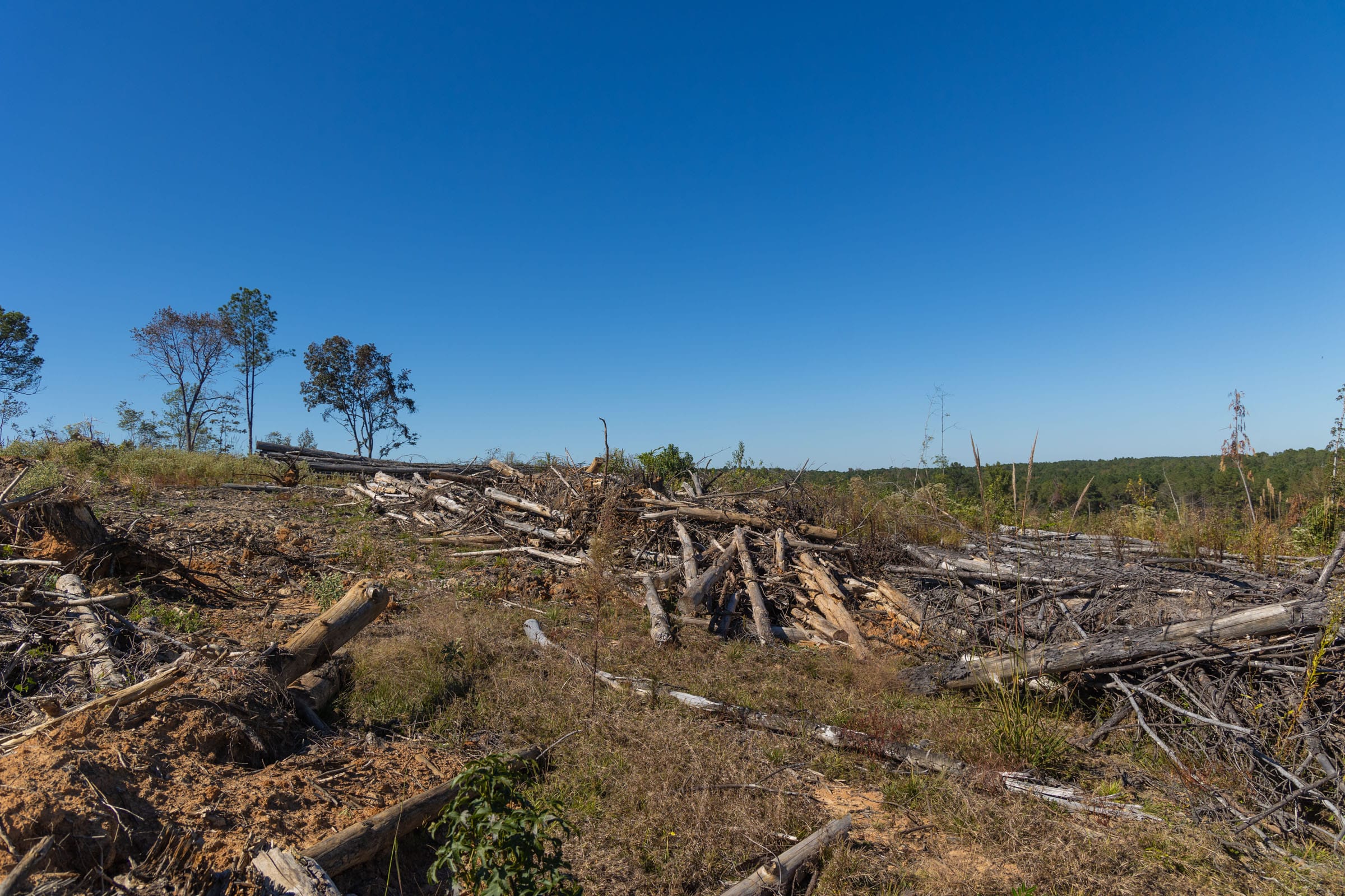 Meyer’s Ridge Tract 26 photo 14