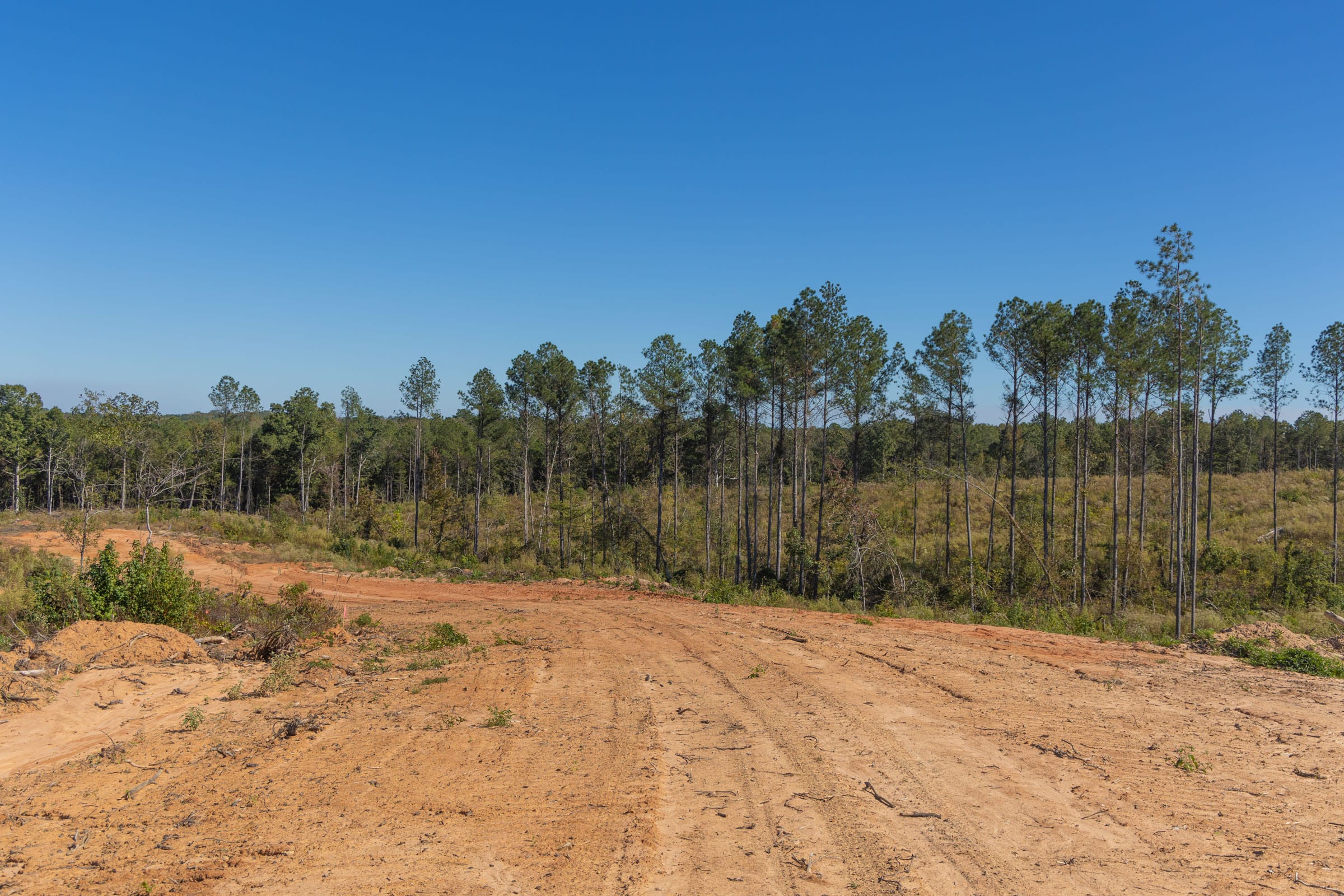 Meyer’s Ridge Tract 26 photo 7