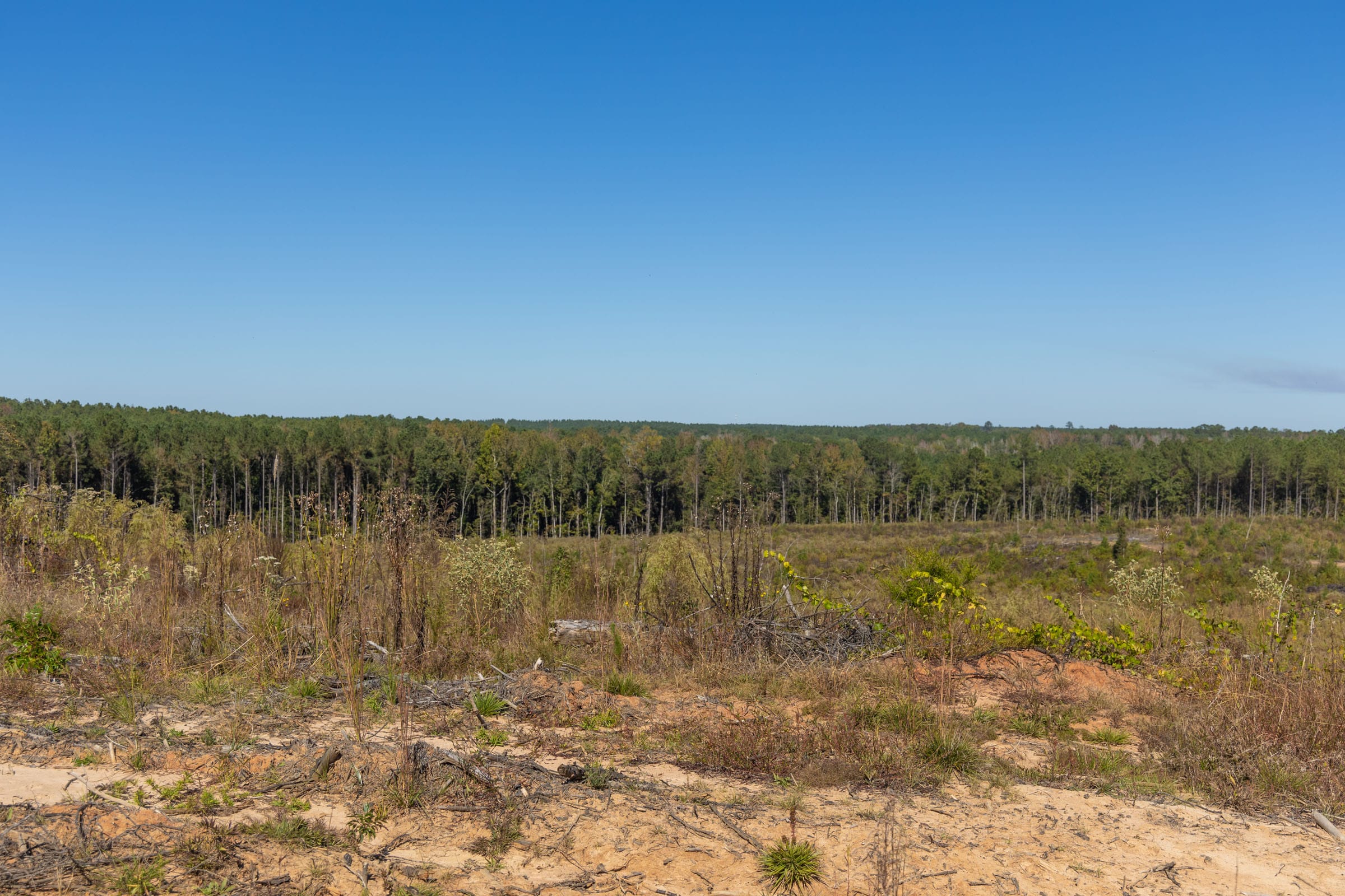 Meyer’s Ridge Tract 26 photo 10