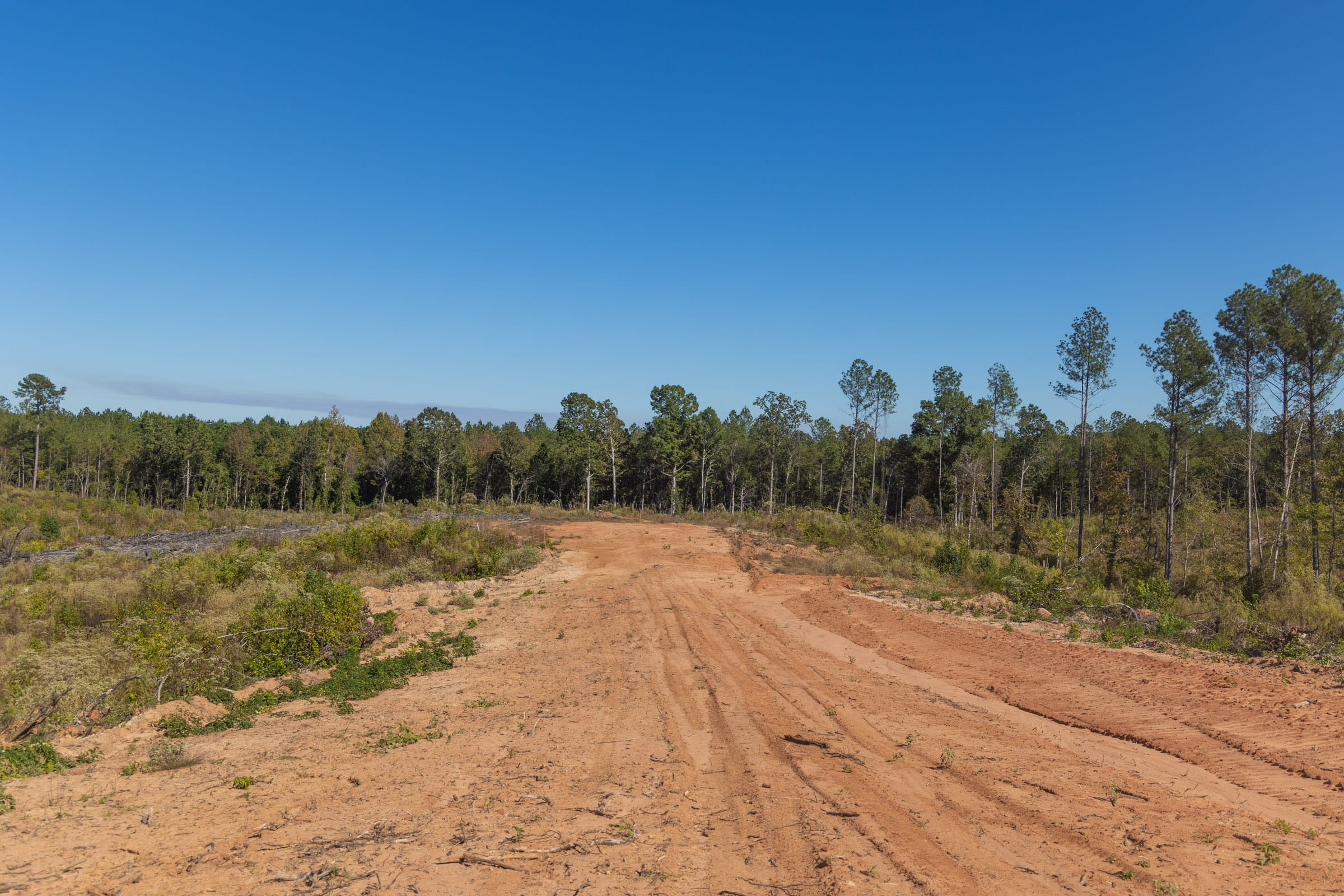 Meyer’s Ridge Tract 26 photo 3