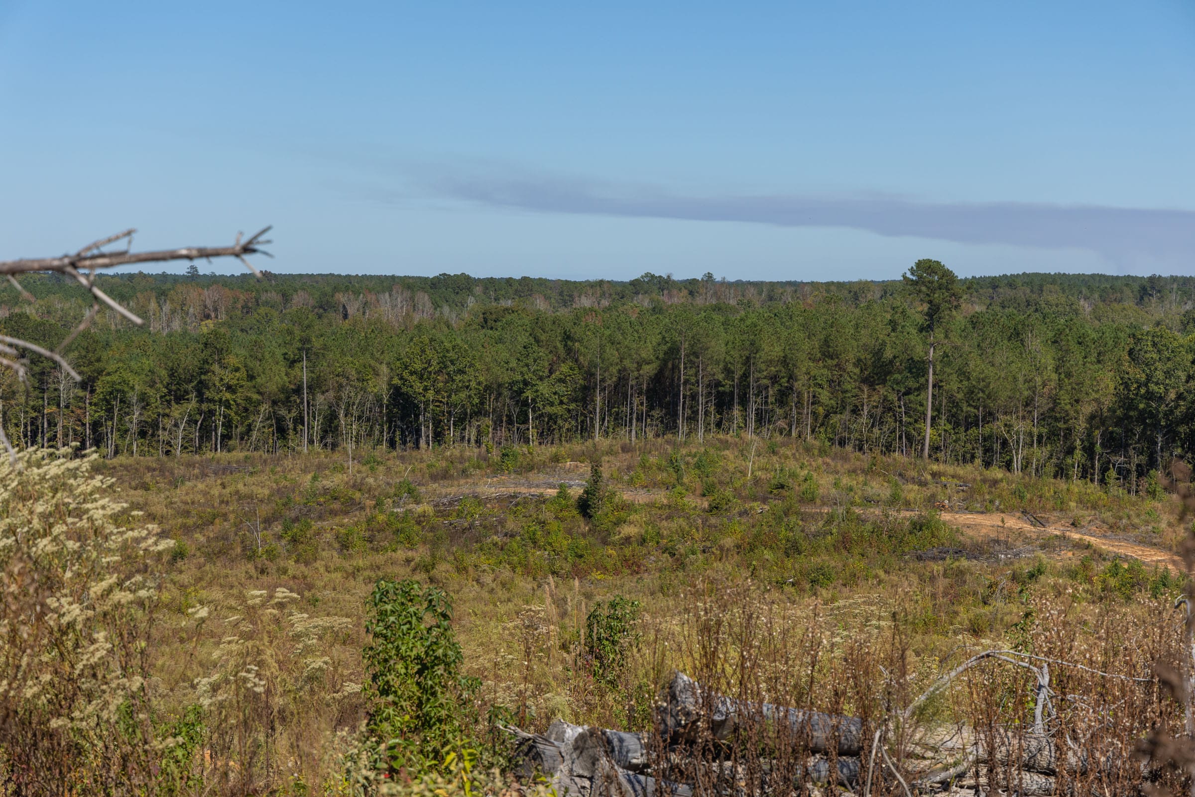 Meyer’s Ridge Tract 26 photo 8