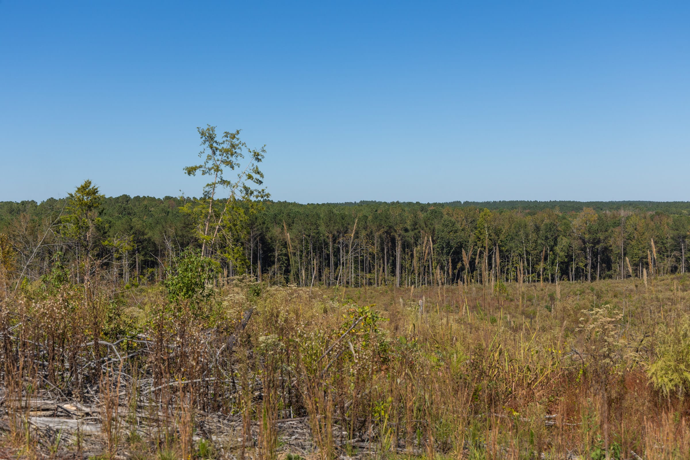 Meyer’s Ridge Tract 26 photo 6