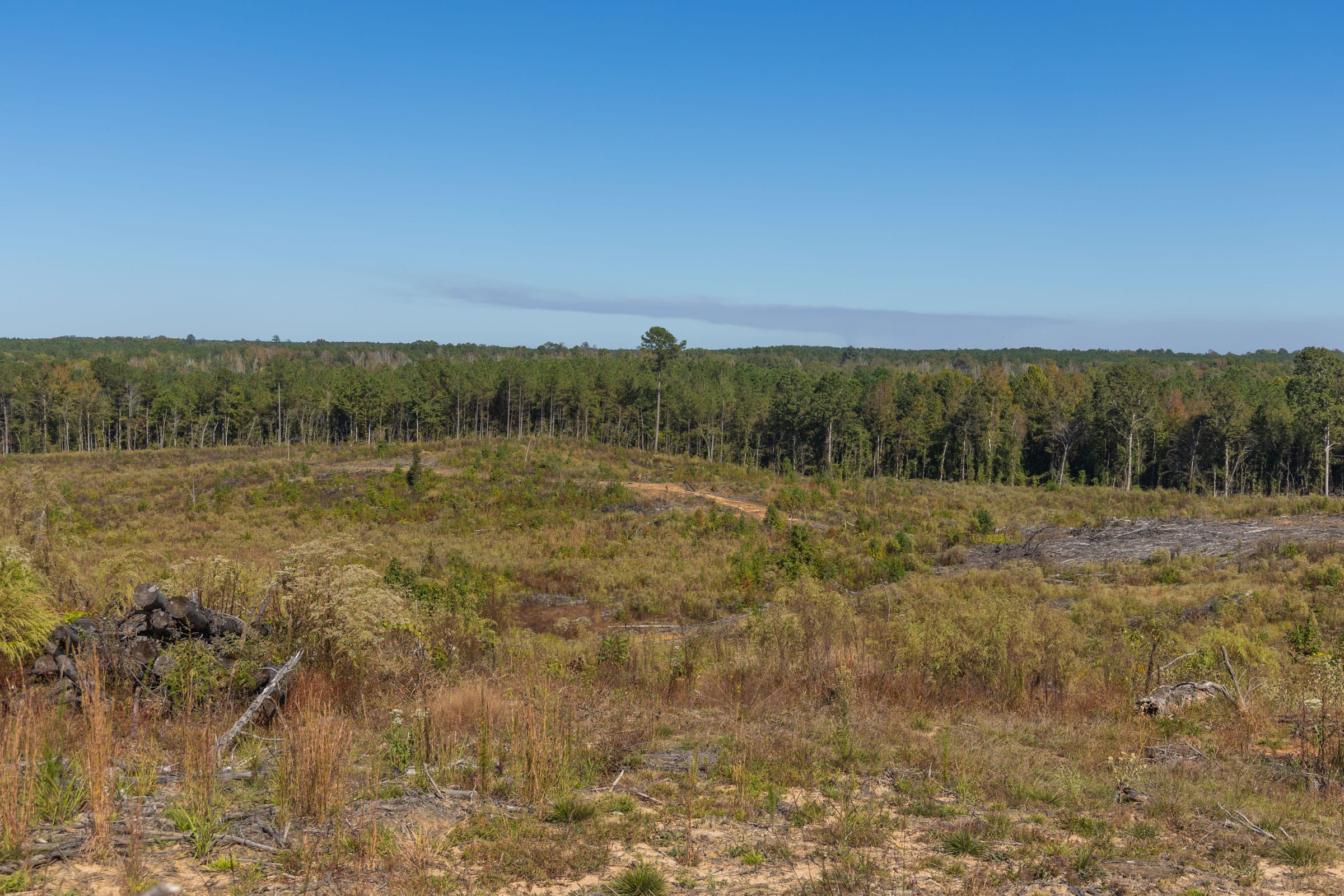 Meyer’s Ridge Tract 26 photo 4