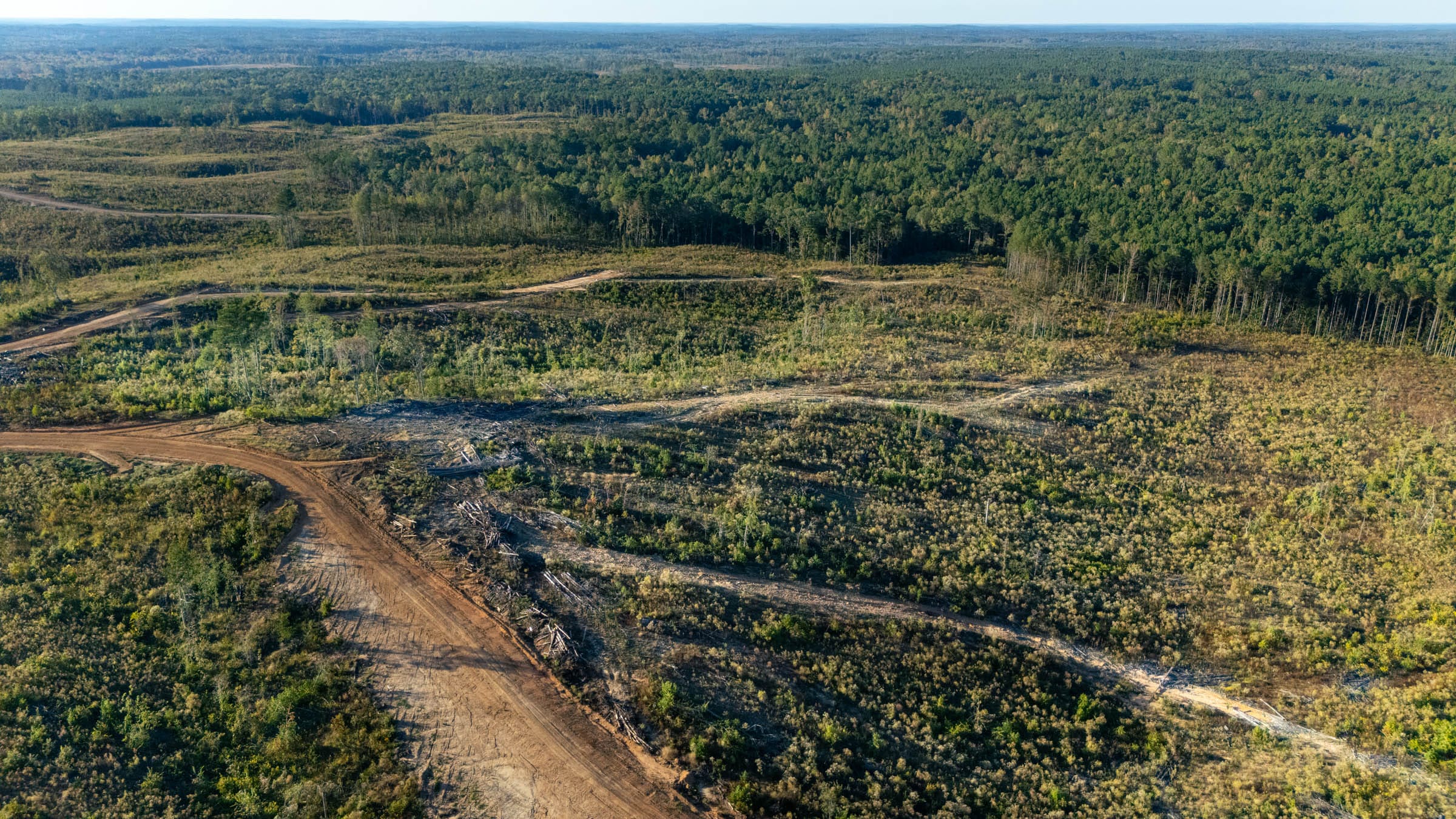 Meyer’s Ridge Tract 26 photo 2