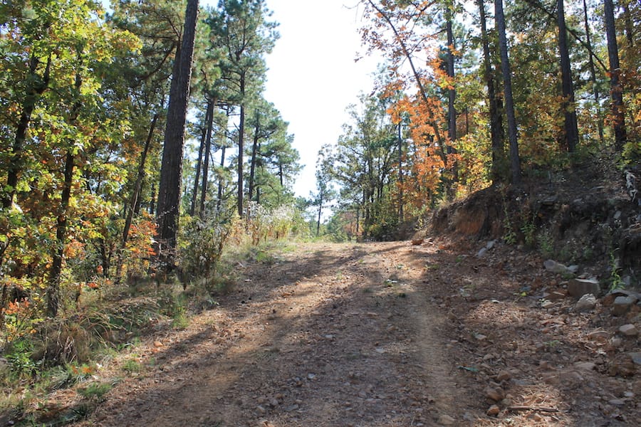 Indian Ridge – Phase III Tract 108 photo 2