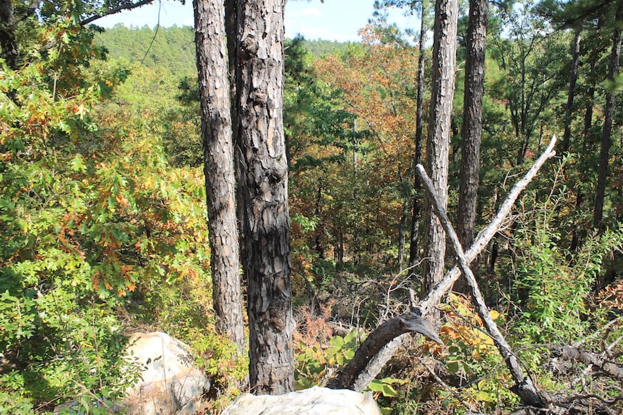 Indian Ridge – Phase III Tract 108 photo 3