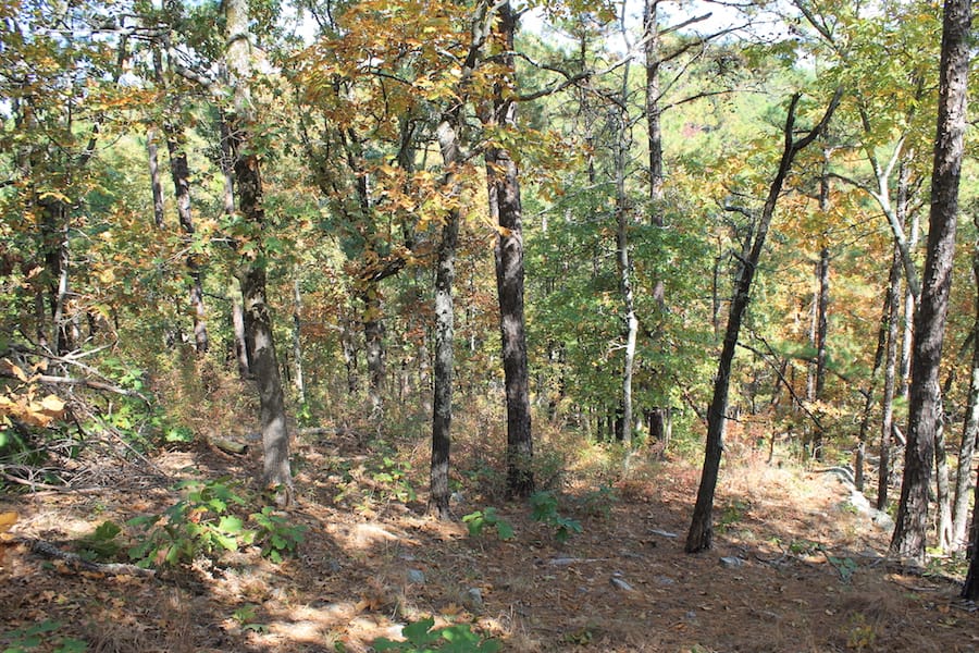 Indian Ridge – Phase III Tract 108 photo 4