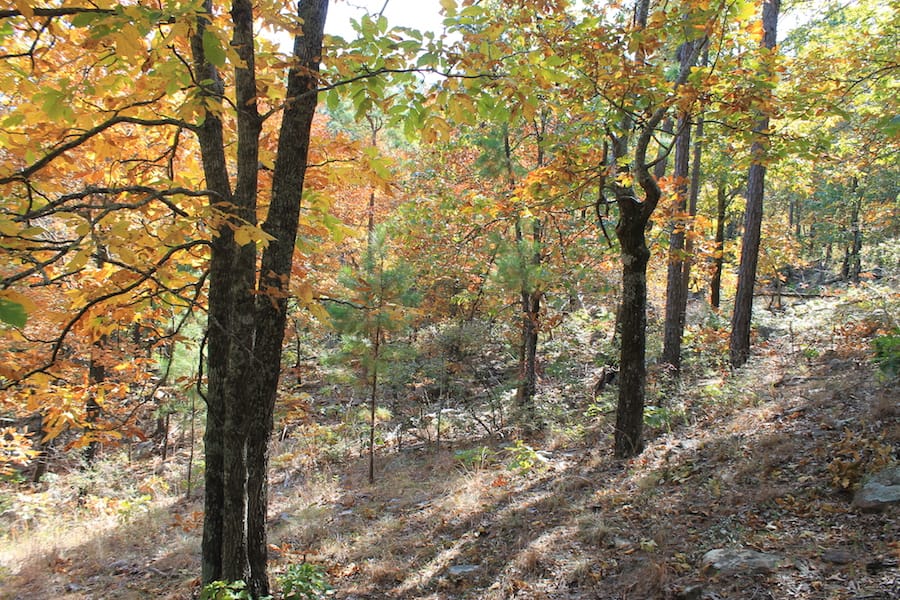 Indian Ridge – Phase III Tract 108 photo 5