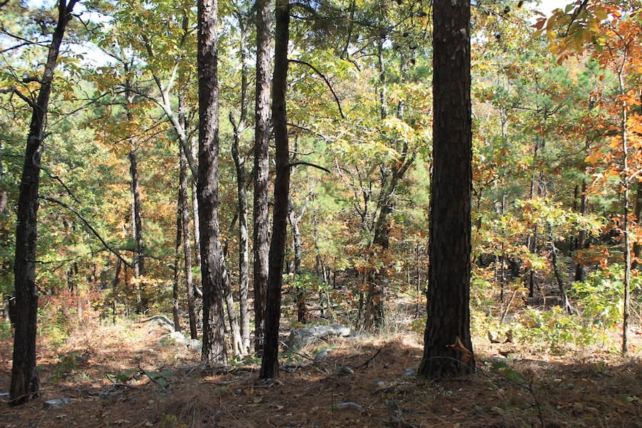 Indian Ridge – Phase III Tract 108 photo 7