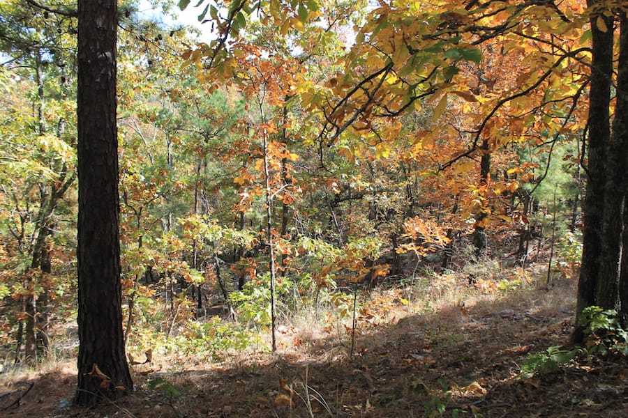 Indian Ridge – Phase III Tract 108 photo 8