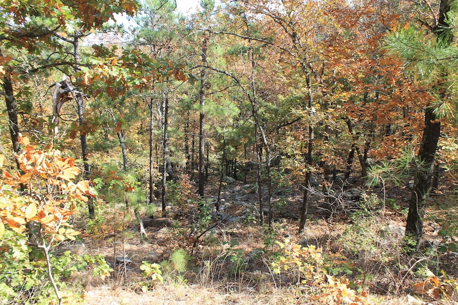 Indian Ridge – Phase III Tract 108 photo 10