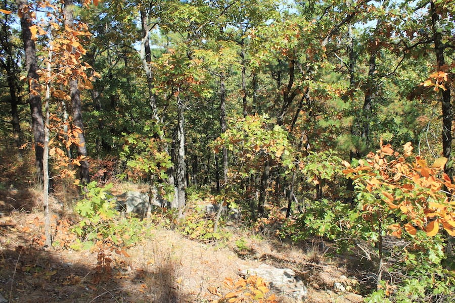 Indian Ridge – Phase III Tract 108 photo 11