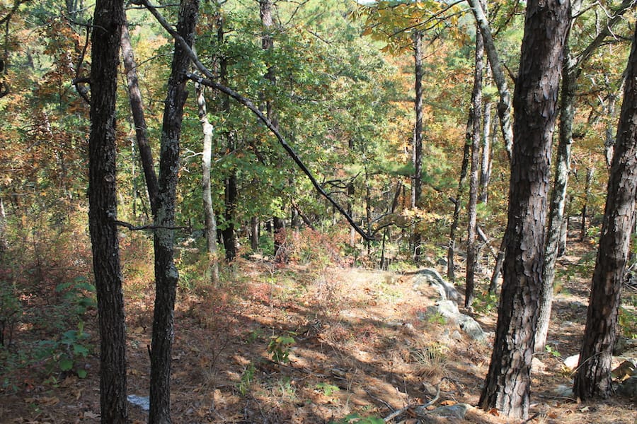 Indian Ridge – Phase III Tract 108 photo 13
