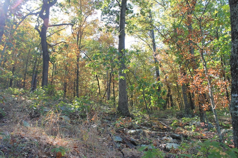 Indian Ridge – Phase III Tract 108 photo 14