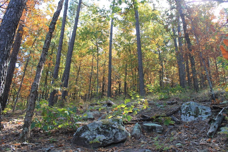 Indian Ridge – Phase III Tract 108 photo 16