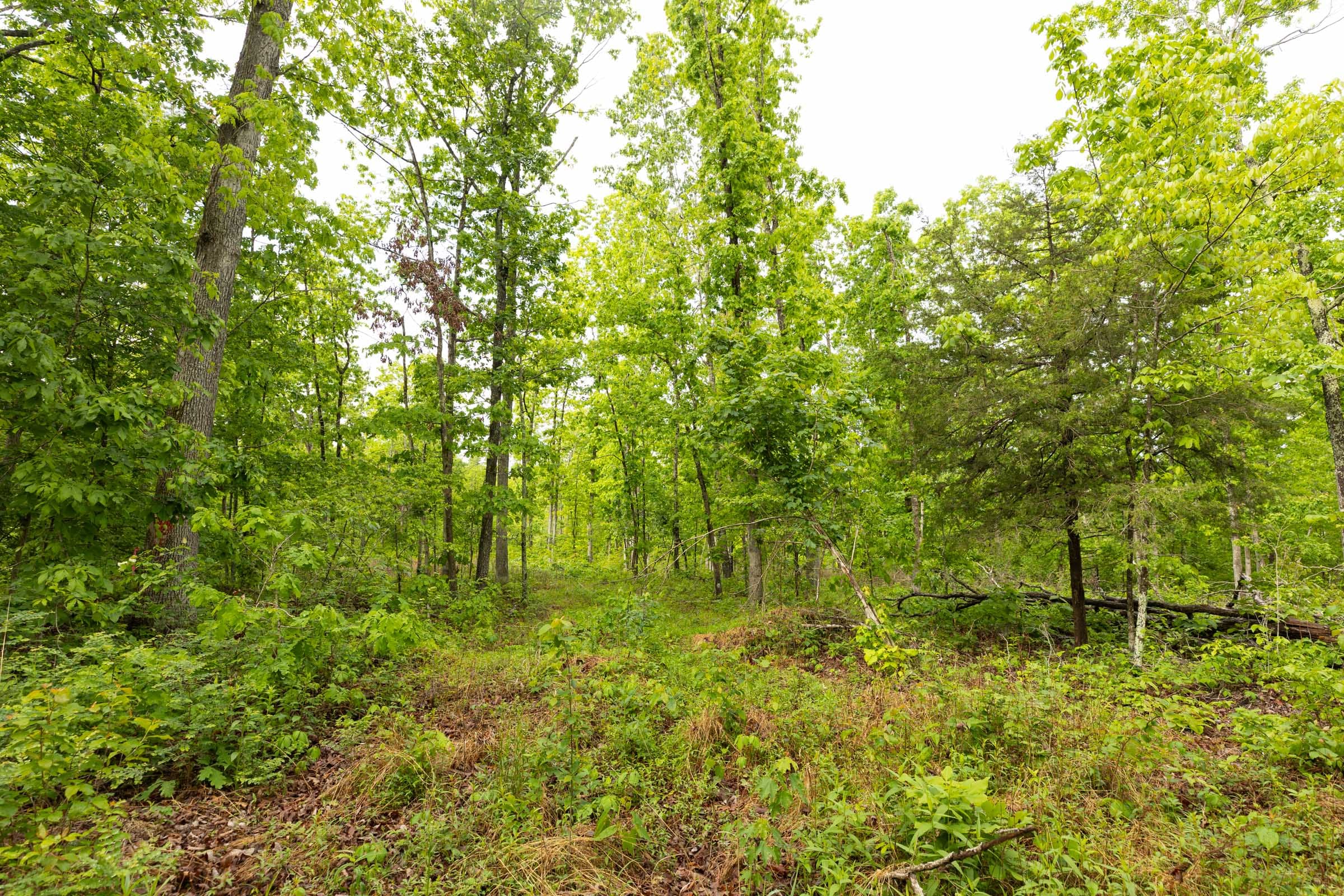 Stardust Estates Tract 32 photo 12