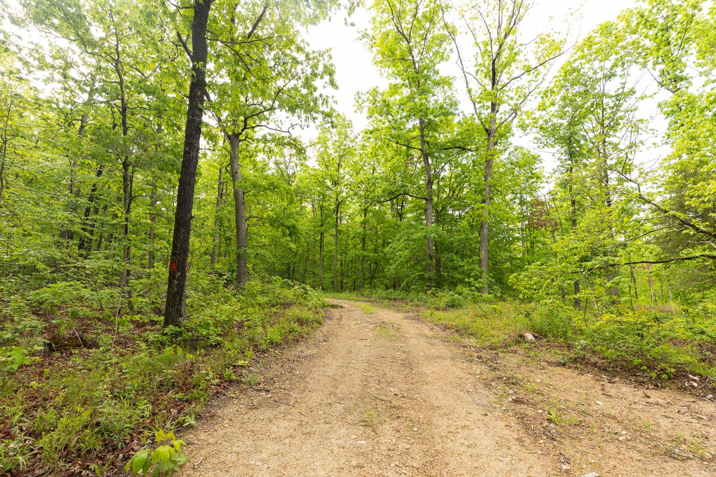 Stardust Estates Tract 32 photo 10