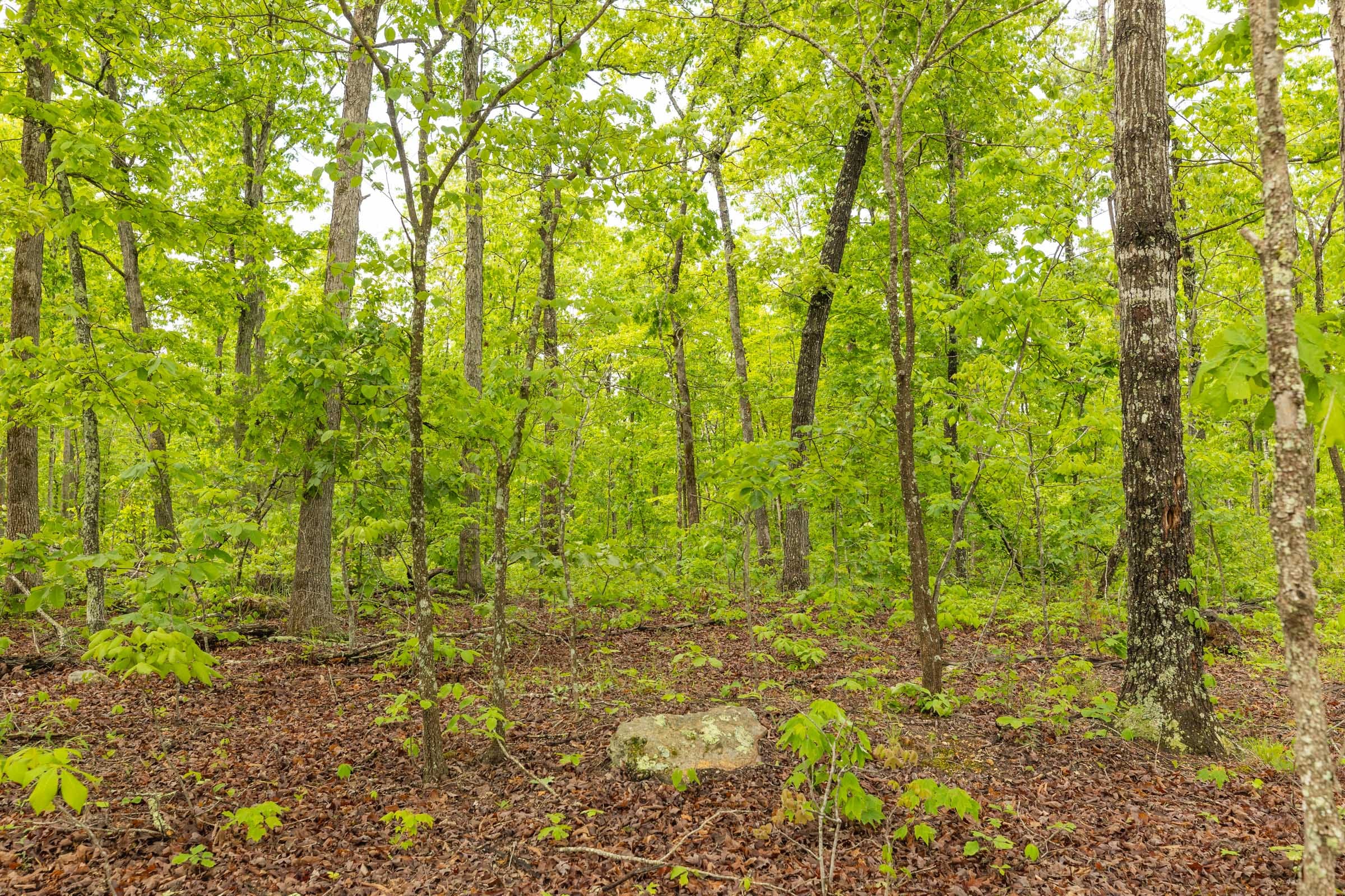 Stardust Estates Tract 32 photo 9