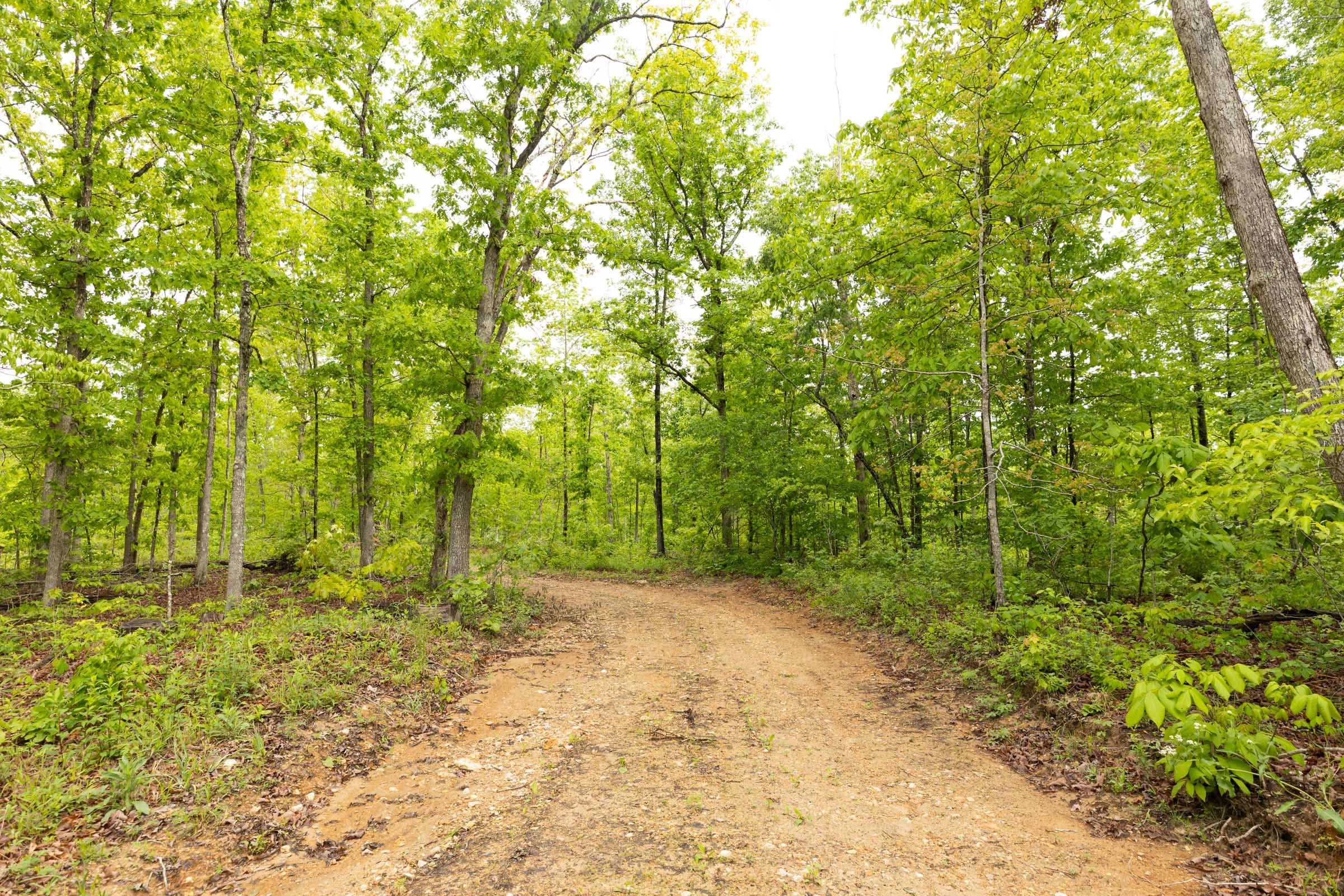 Stardust Estates Tract 32 photo 8