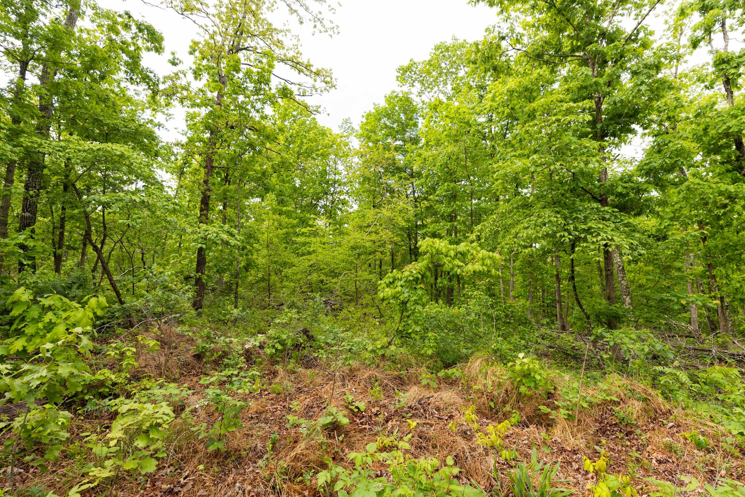 Stardust Estates Tract 32 photo 7