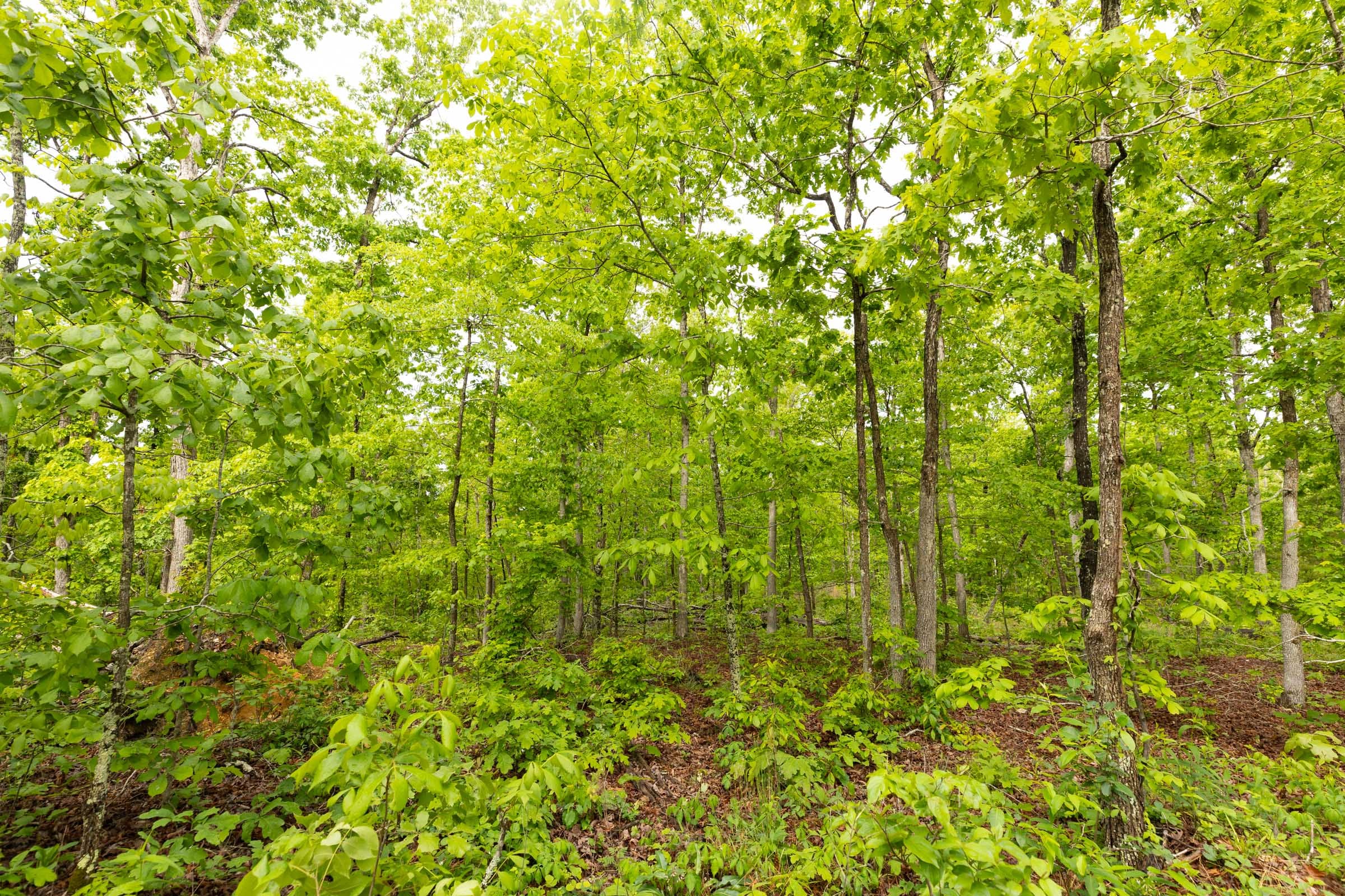 Stardust Estates Tract 32 photo 6