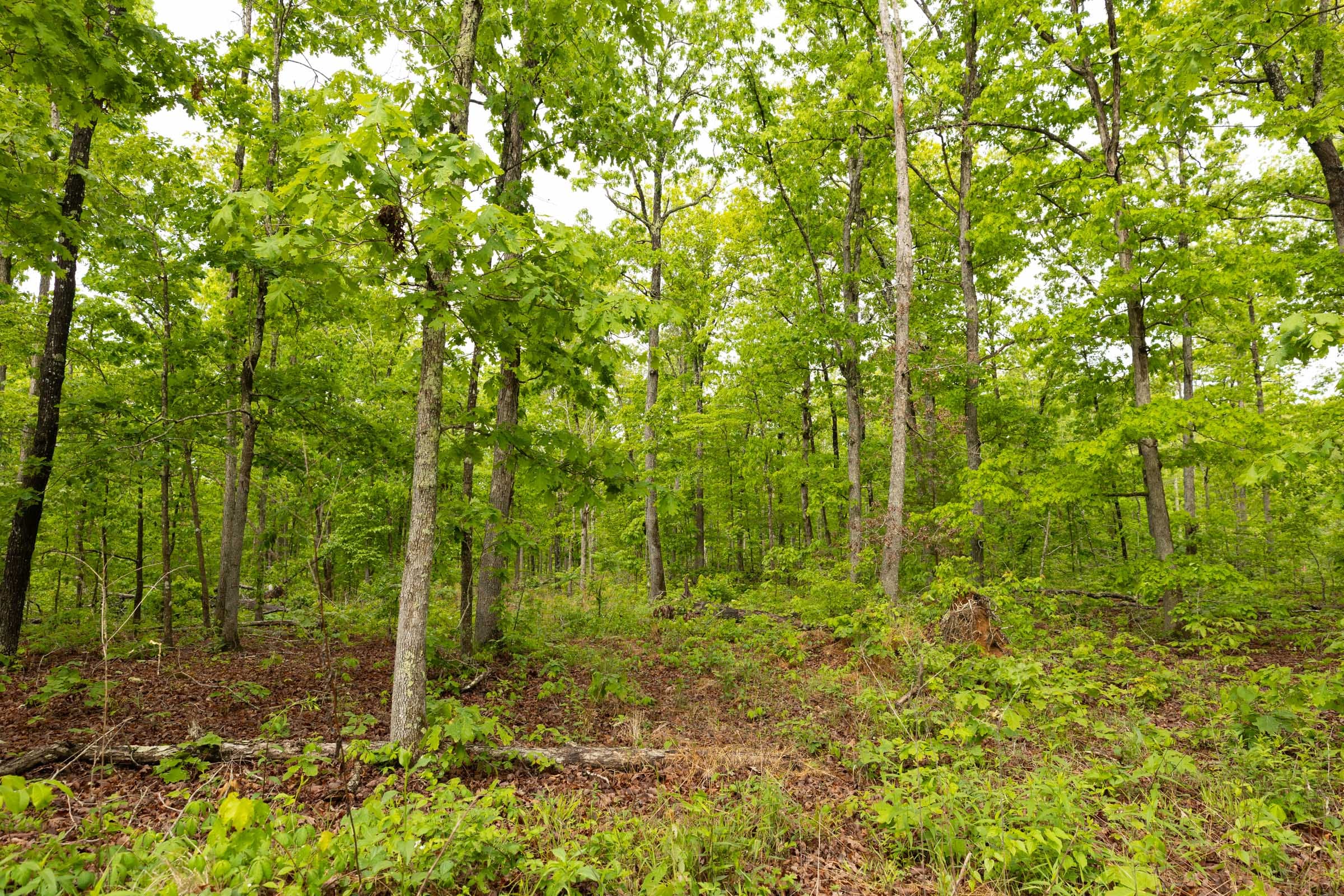 Stardust Estates Tract 32 photo 5