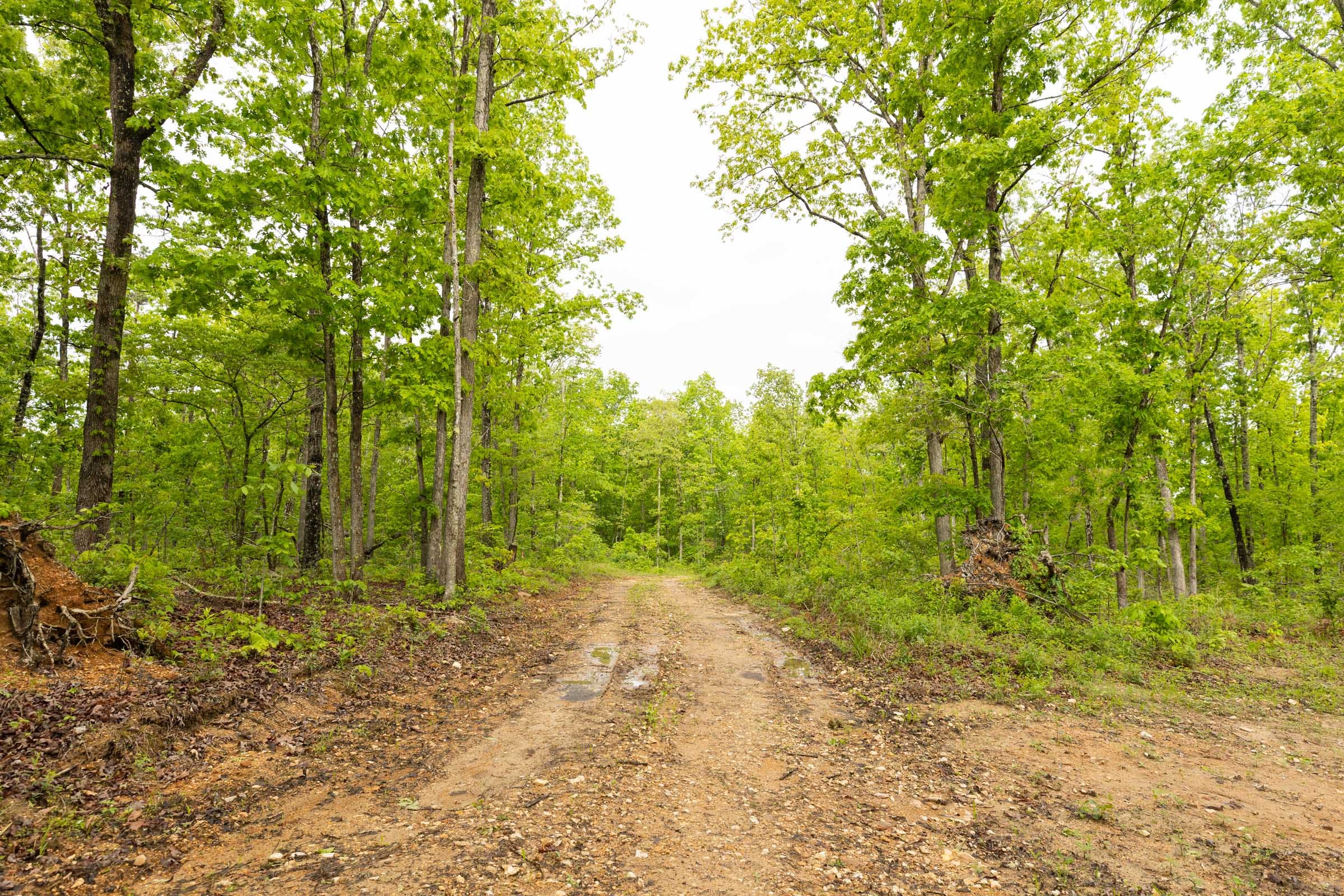 Stardust Estates Tract 32 photo 3
