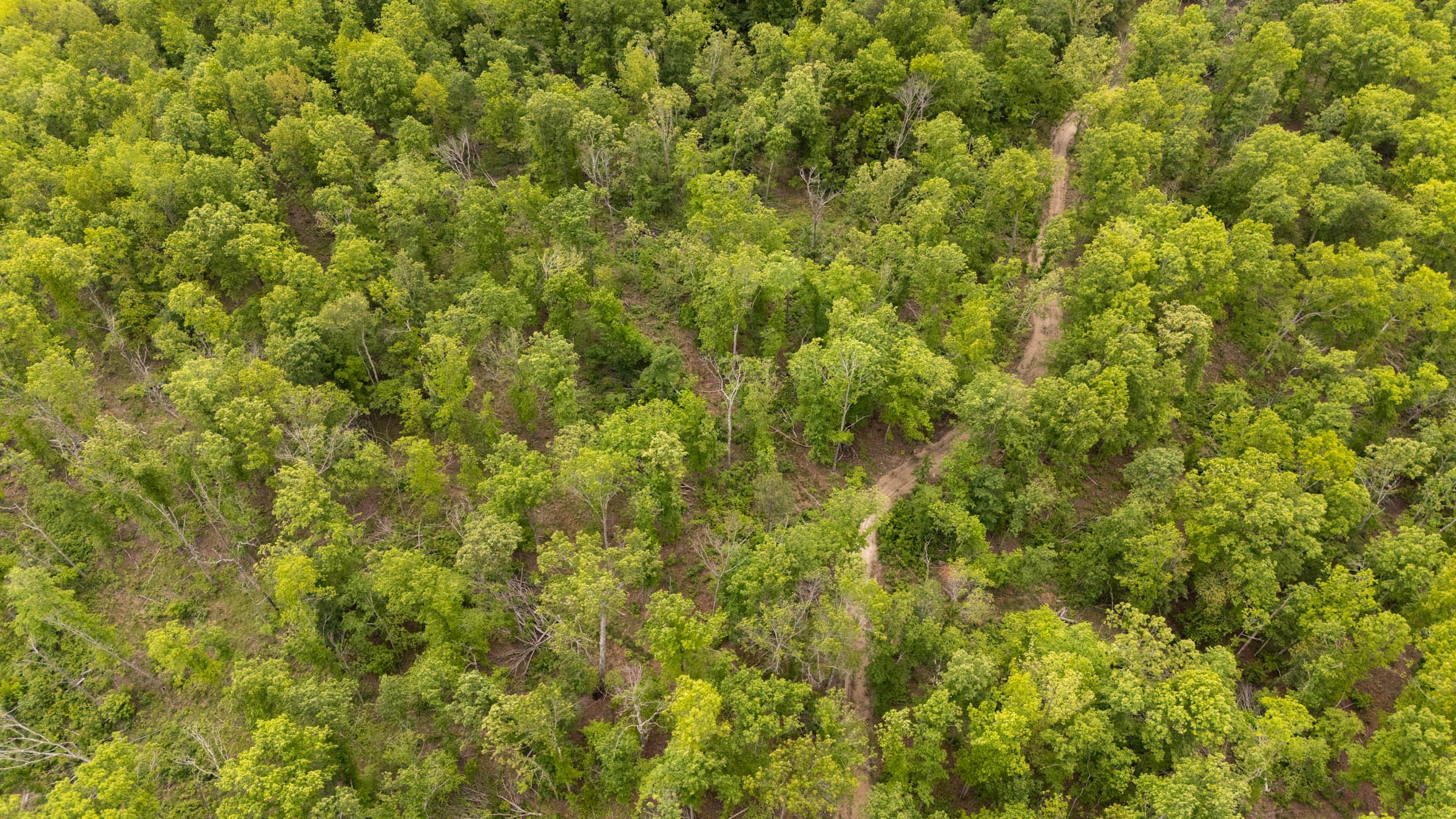 Stardust Estates Tract 32 photo 2