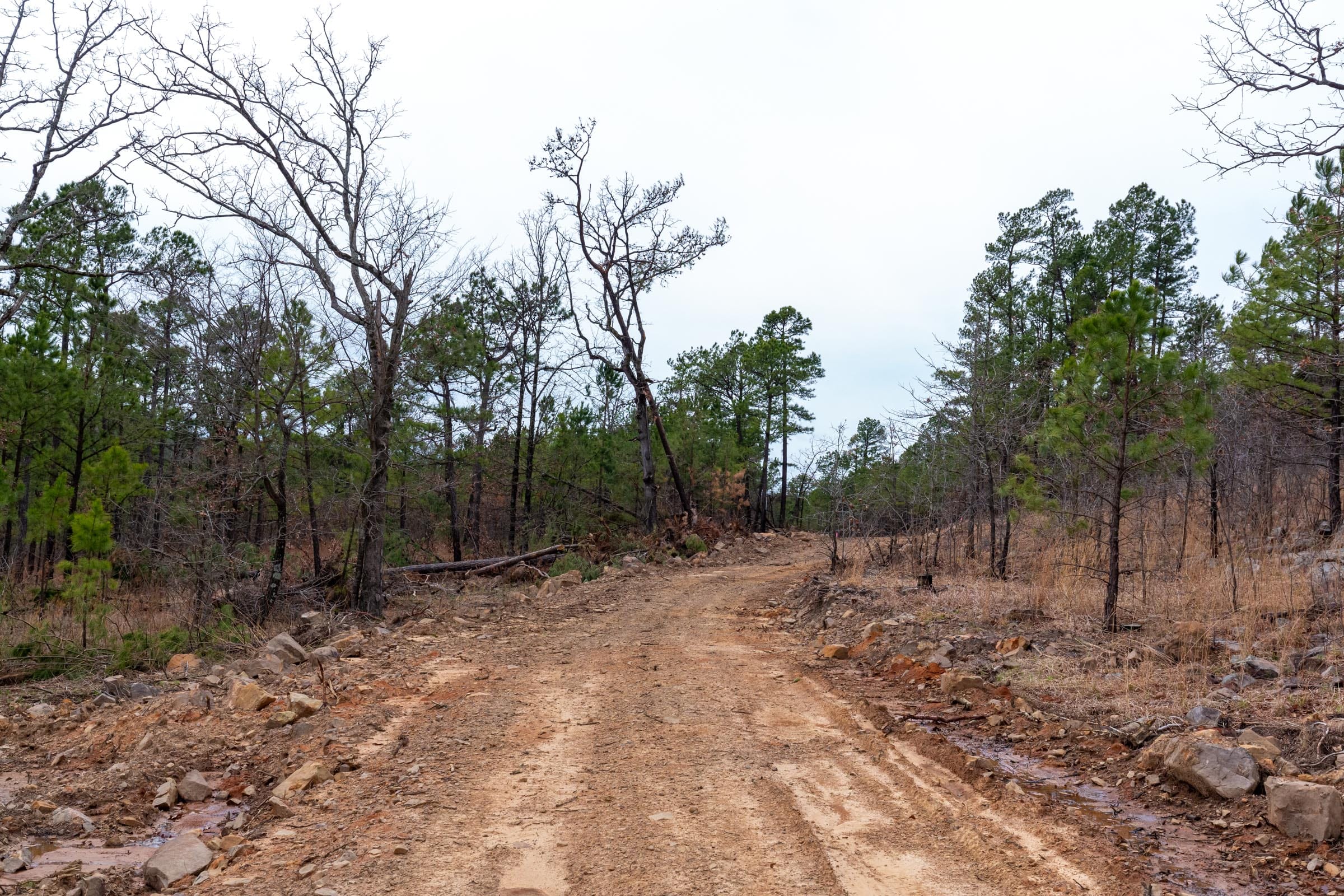 Stone Bridge Phase III Tract 139 photo 1