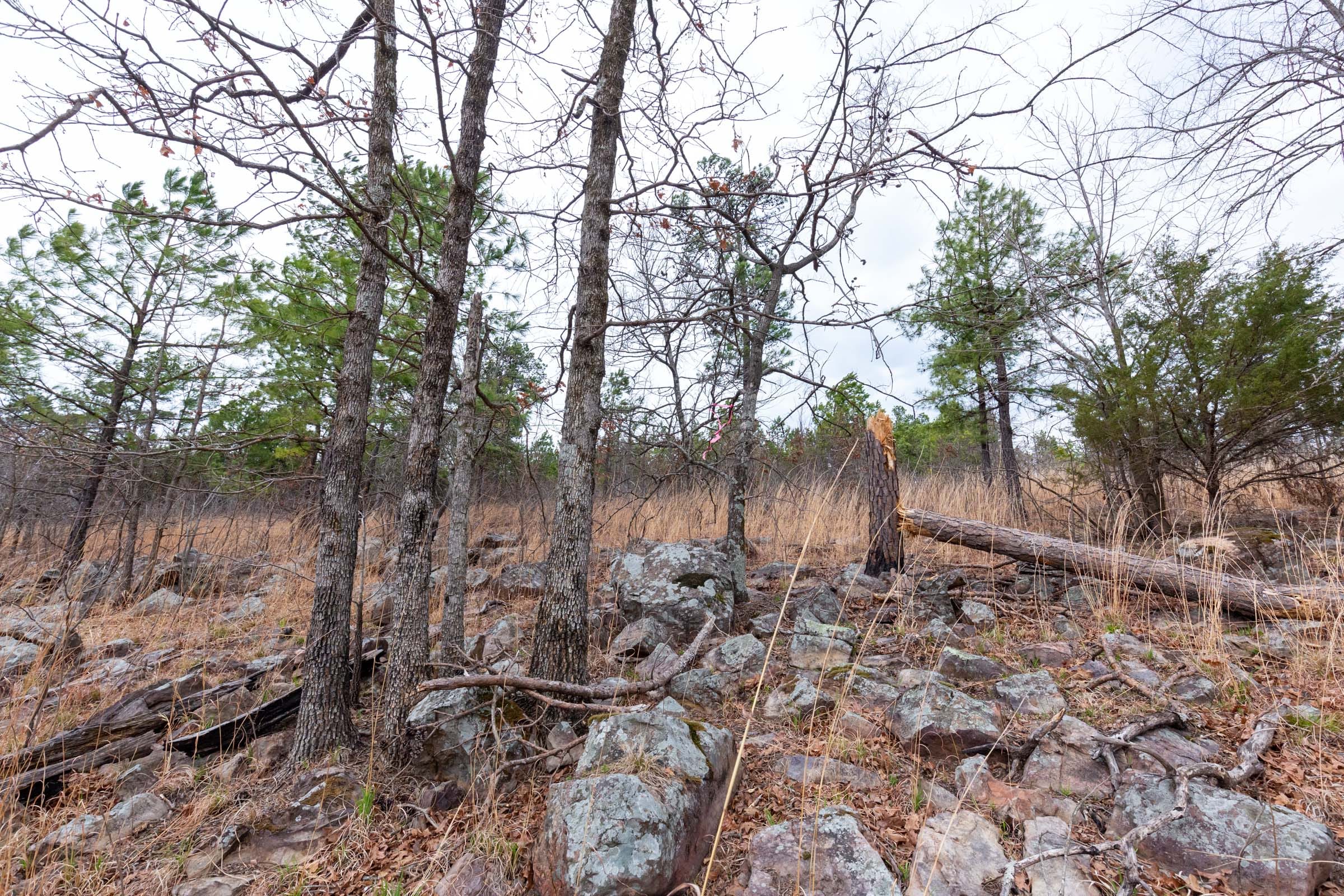 Stone Bridge Phase III Tract 139 photo 2